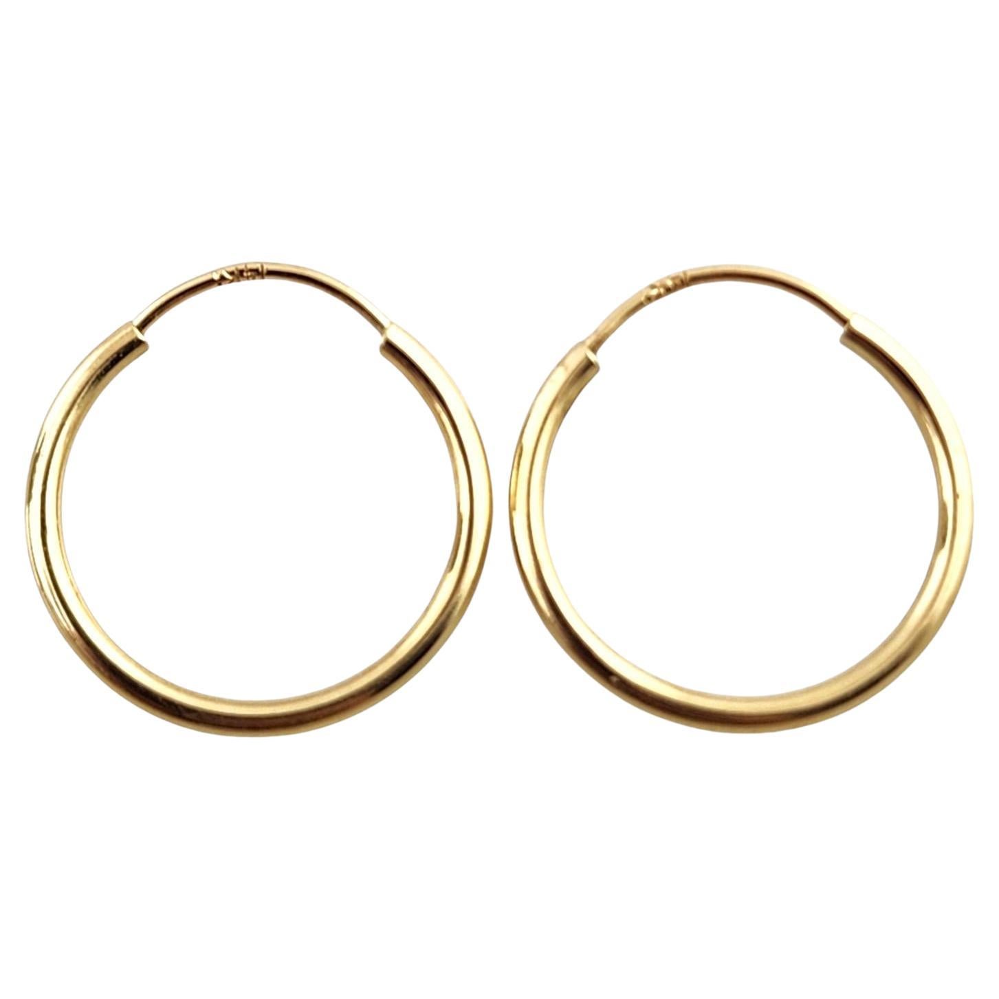14 Karat Yellow Gold Mini Circle Hoop Earrings #19191