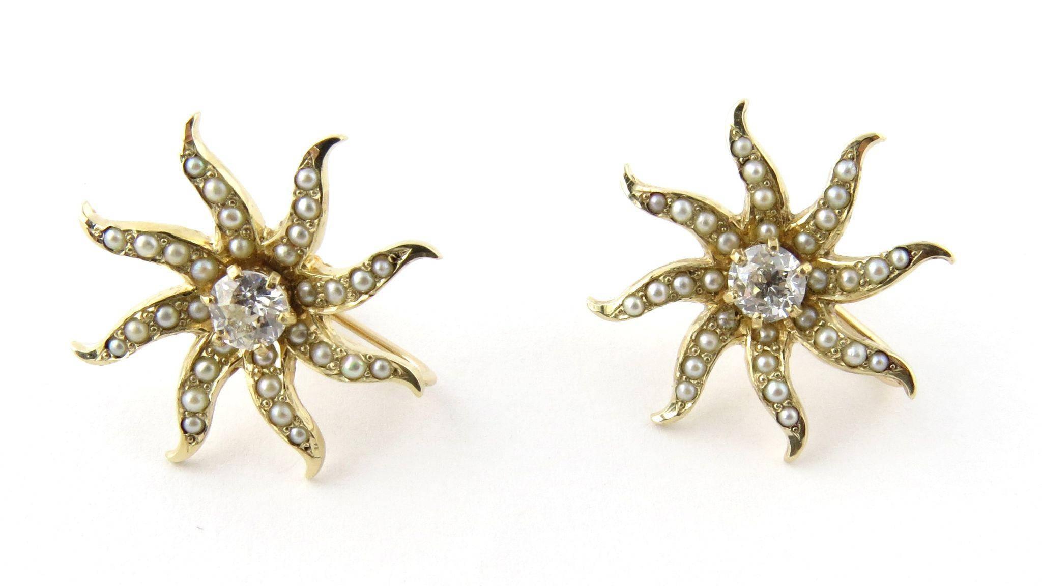 14 Karat Yellow Gold Pearl and Old Miner Diamond Sun Burst Earrings .66 Carat 1