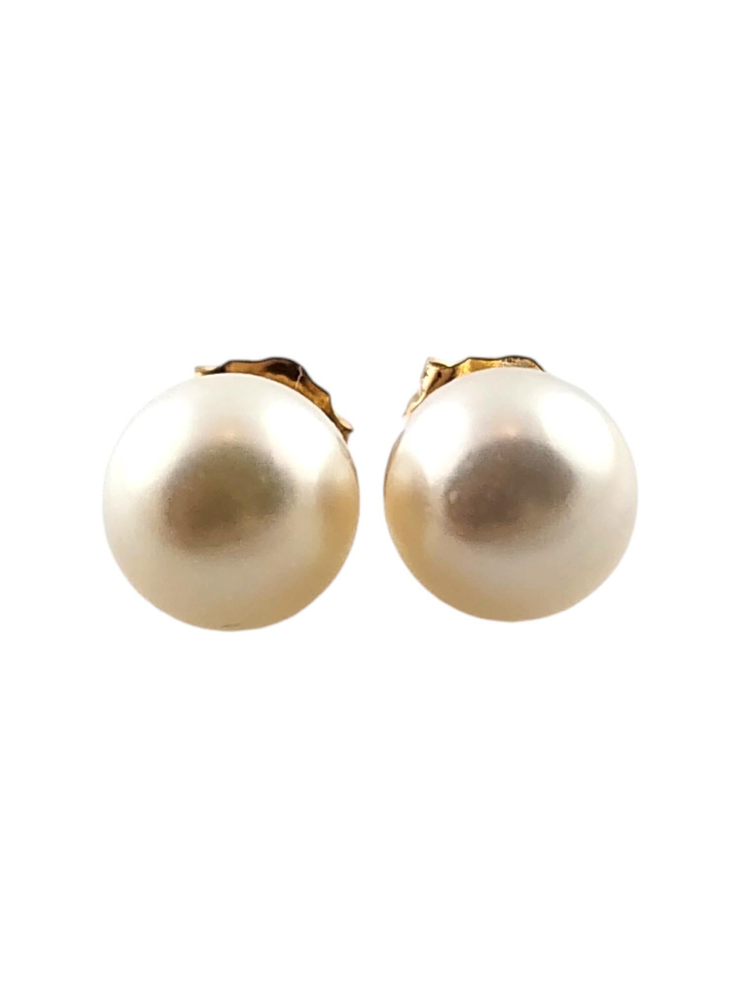 14 Karat Yellow Gold Pearl Stud Earrings #18573