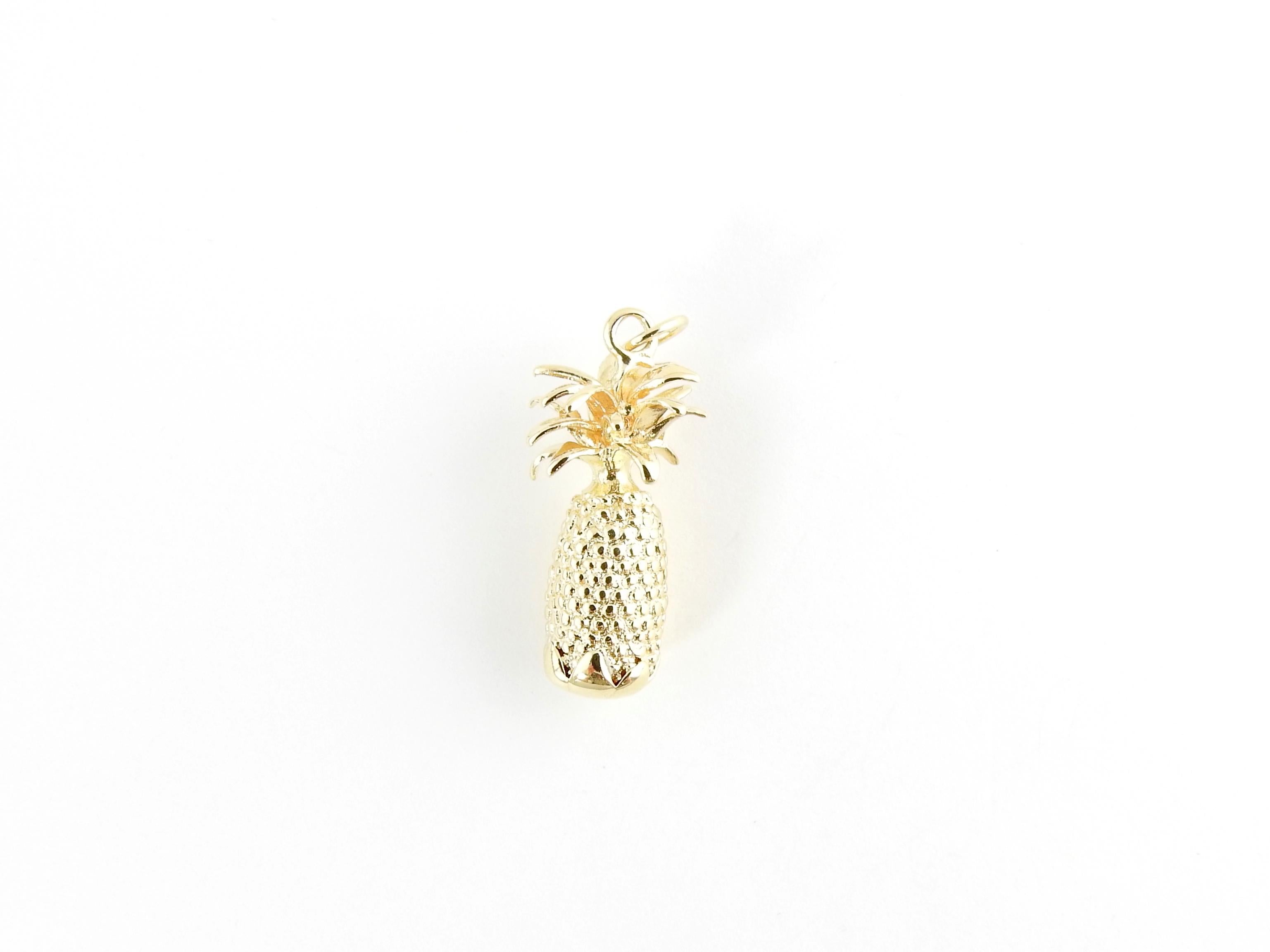 Vintage 14 Karat Yellow Gold Pineapple Charm

The pineapple signifies good cheer, hospitality and a sense of welcome!

This lovely 3D charm features a miniature pineapple meticulously detailed in 14K yellow gold.

Size: 27 mm x 11 mm (actual