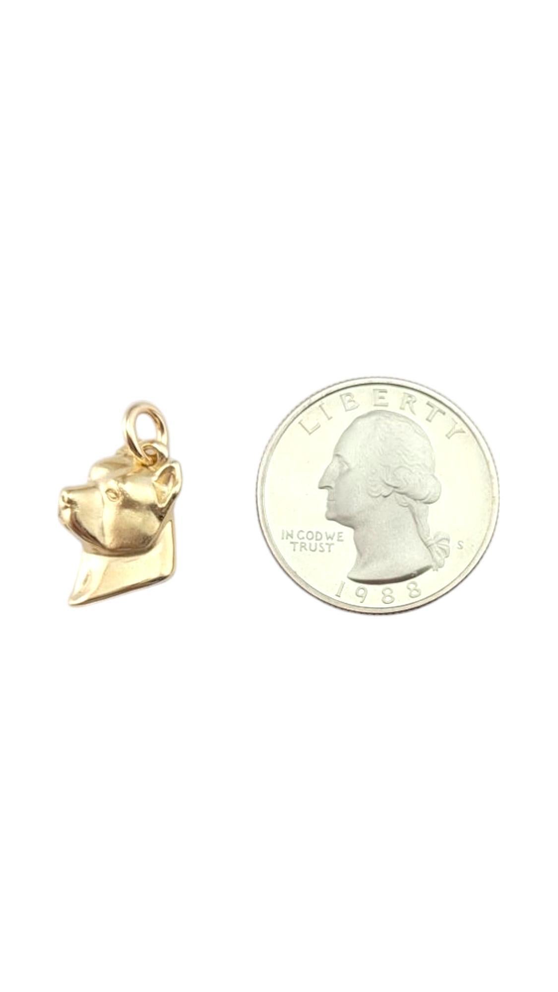 Pendentif Pit Bull Dog n° 21144 en or jaune 14 carats en vente 3