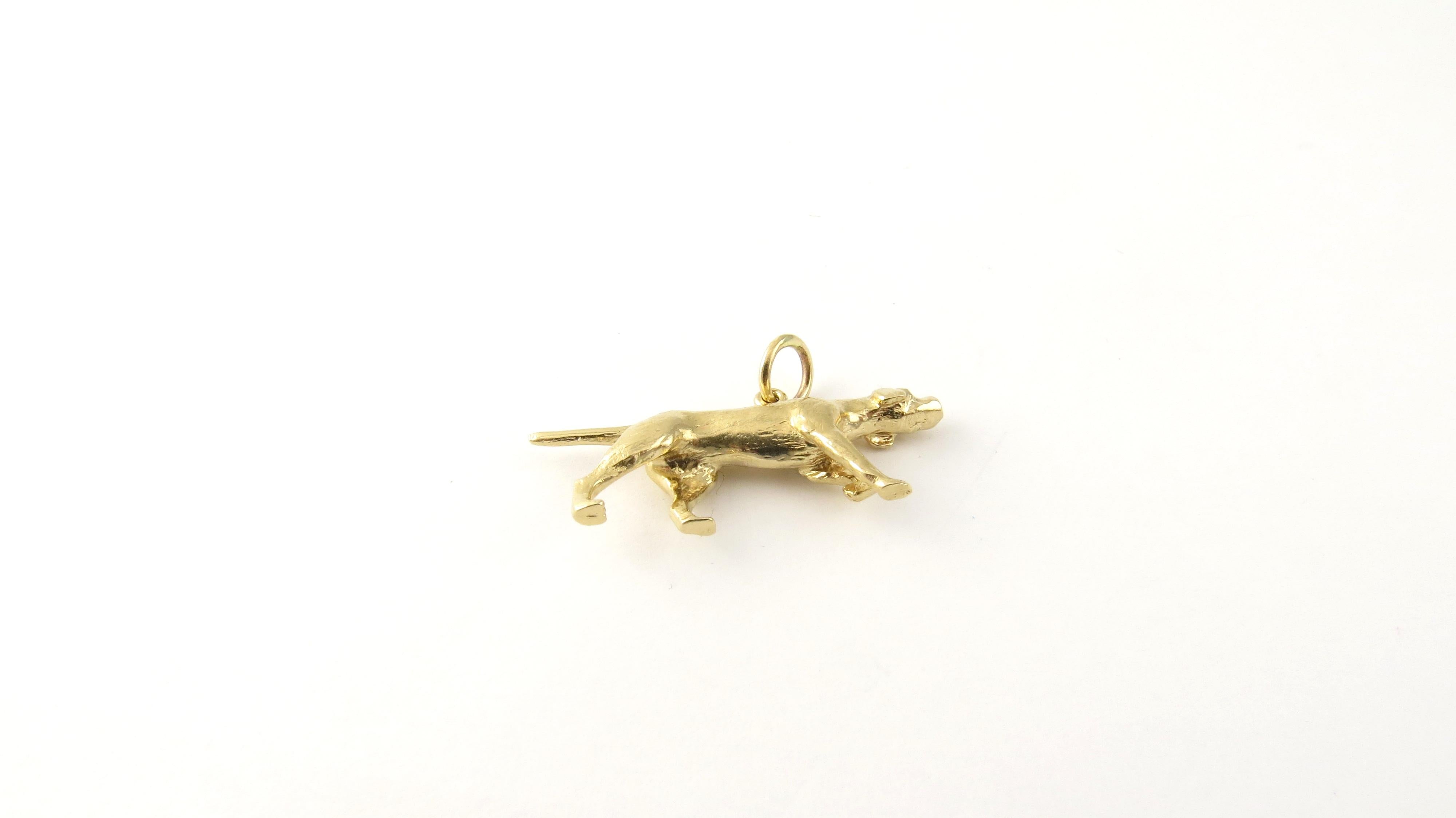 Vintage 14 Karat Yellow Gold Pointer Dog Charm.

The energetic and intelligent pointer dog has long been a family favorite!

This lovely 3D charm features a pointer dog in action meticulously detailed in 14K yellow gold.

Size: 14 mm x 31 mm (actual