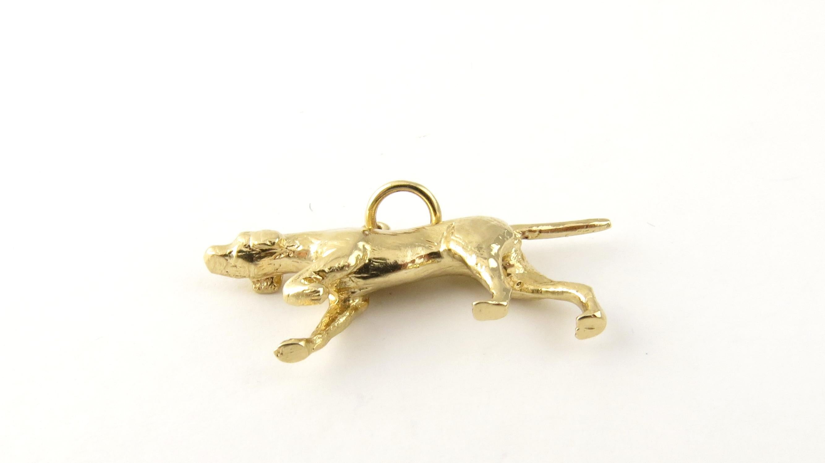 14 Karat Yellow Gold Pointer Dog Charm 1