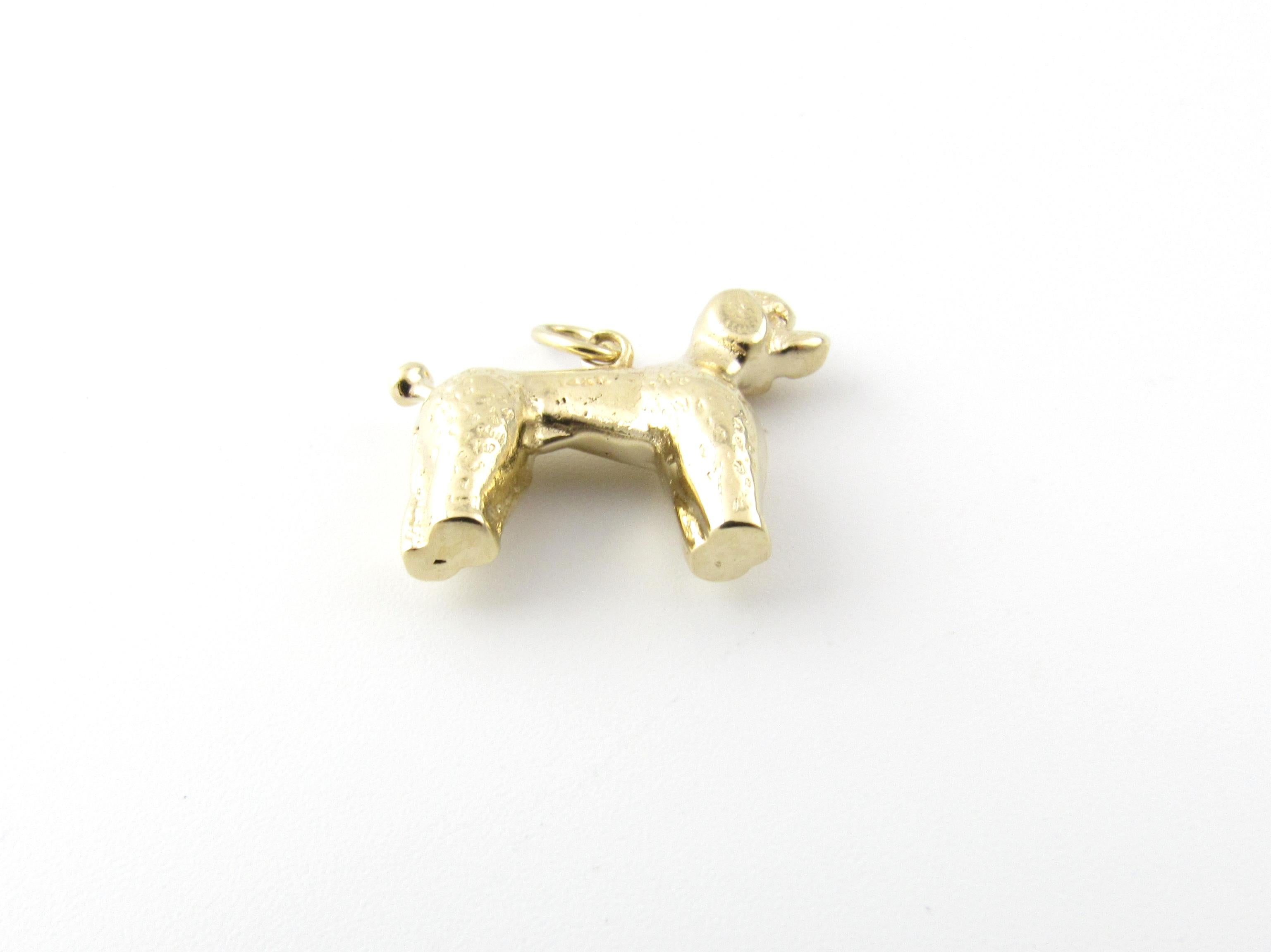 14 Karat Yellow Gold Poodle Charm 1