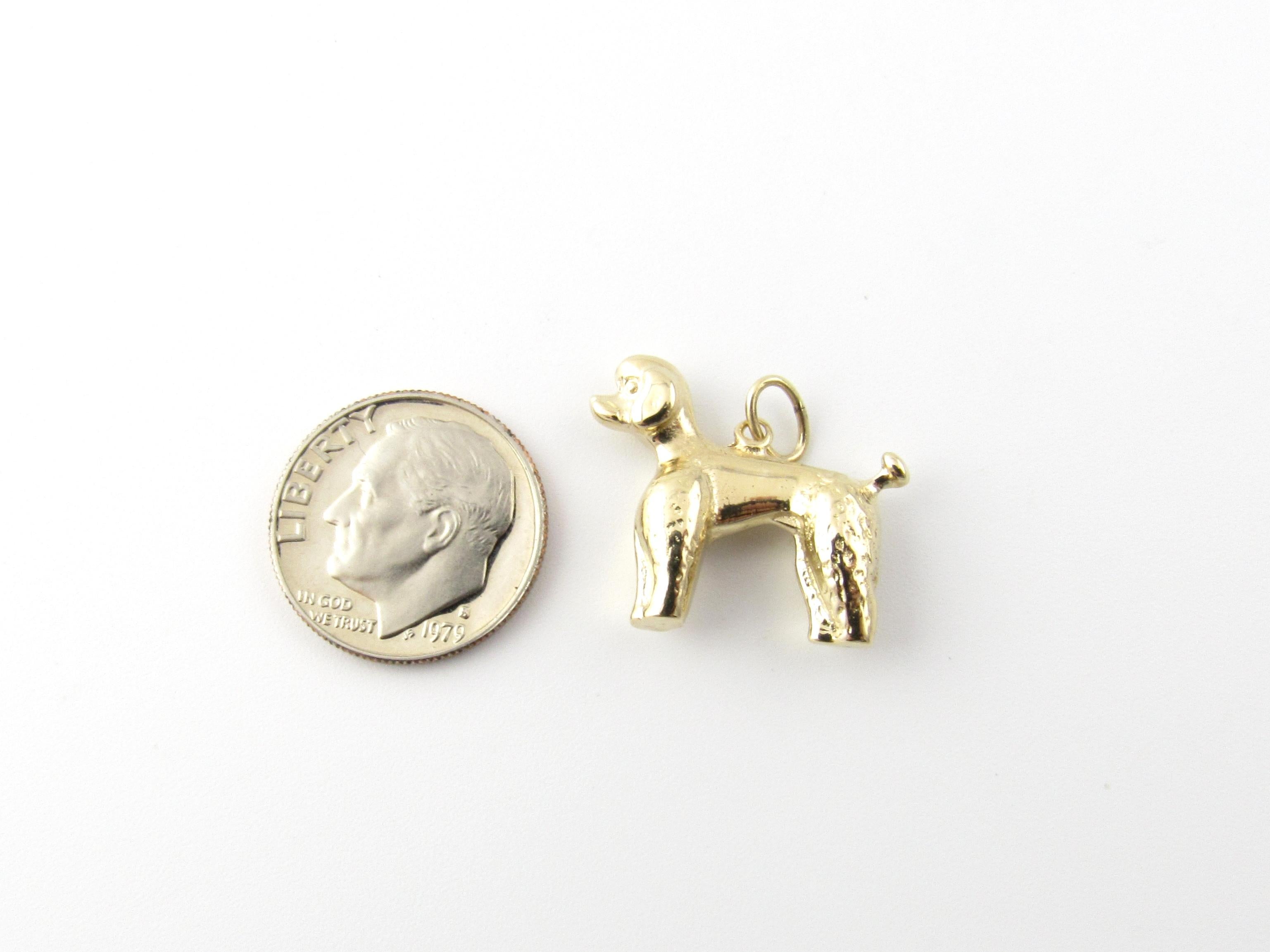 14 Karat Yellow Gold Poodle Charm 3