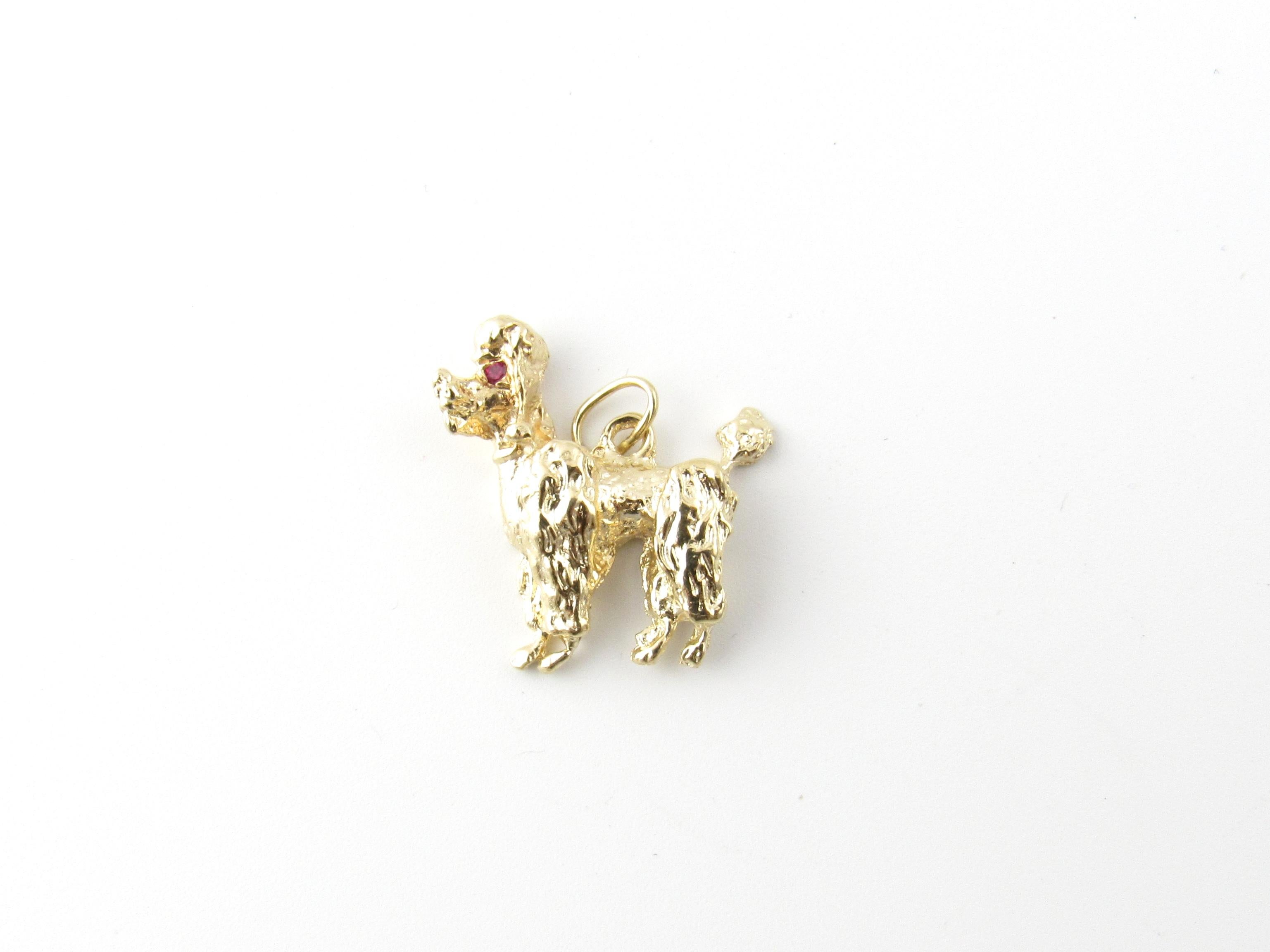 14 Karat Yellow Gold and Ruby Poodle Pendant-

This beautifully crafted pendant features a lovely poodle accented with two ruby eyes set in classic 18K yellow gold.

Size:  24 mm x 23 mm  

Weight:  3.5 dwt. /  5.5 gr. 

Acid tested for 14K