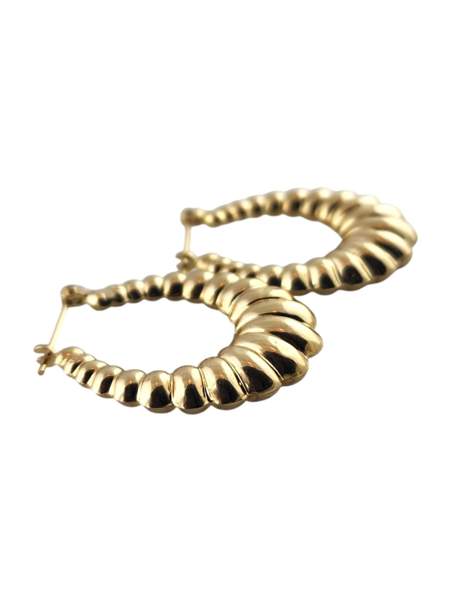 Women's 14 Karat Yellow Gold Puffy Oval Ribbed Hoop Earrings #18986