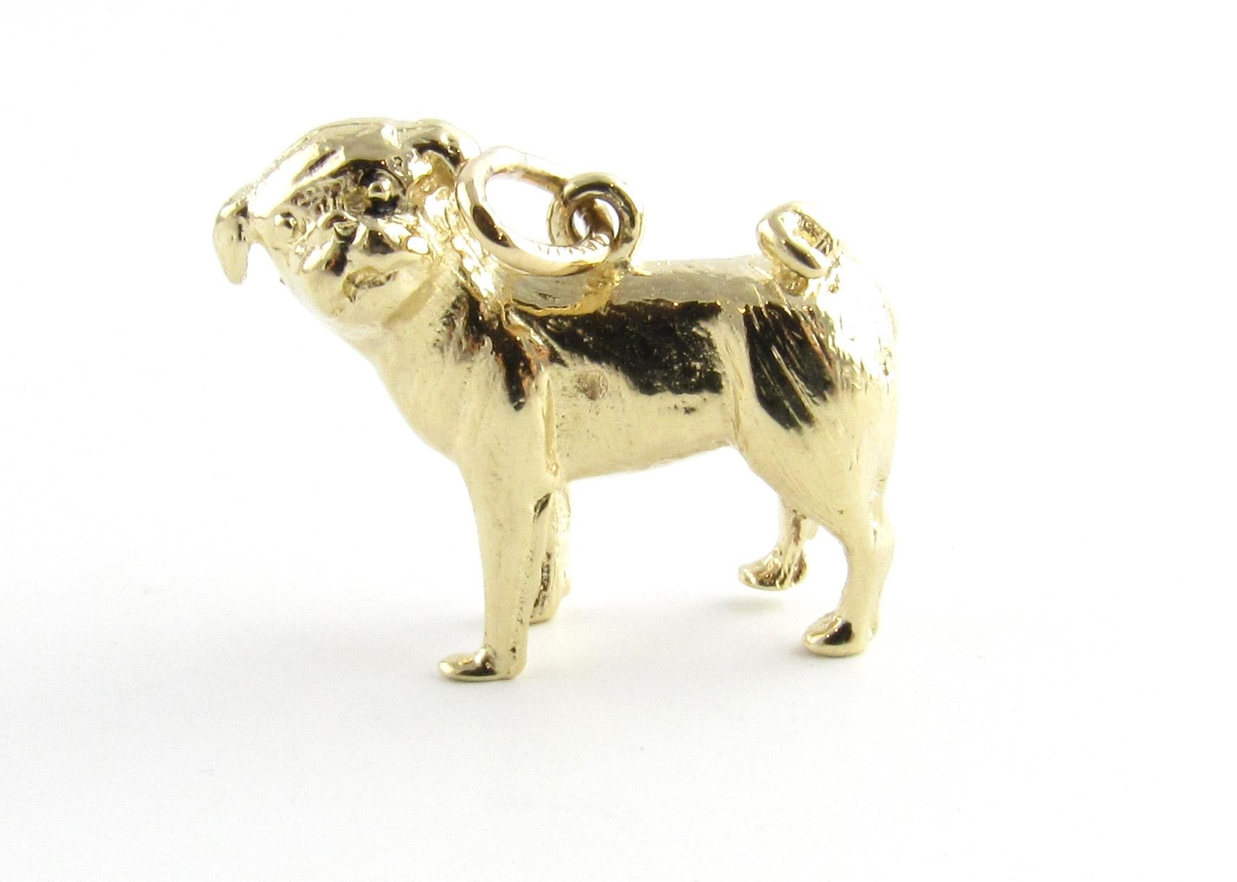 Vintage 14 Karat Yellow Gold Pug Dog Charm

Everyone loves a pug!

This lovely 3D charm features an adorable pug beautifully detailed in 14K yellow gold.

Size: 20 mm x 20 mm (actual charm)

Weight: 6.2 dwt. / 9.7 gr.

Acid tested for 14K gold

Very