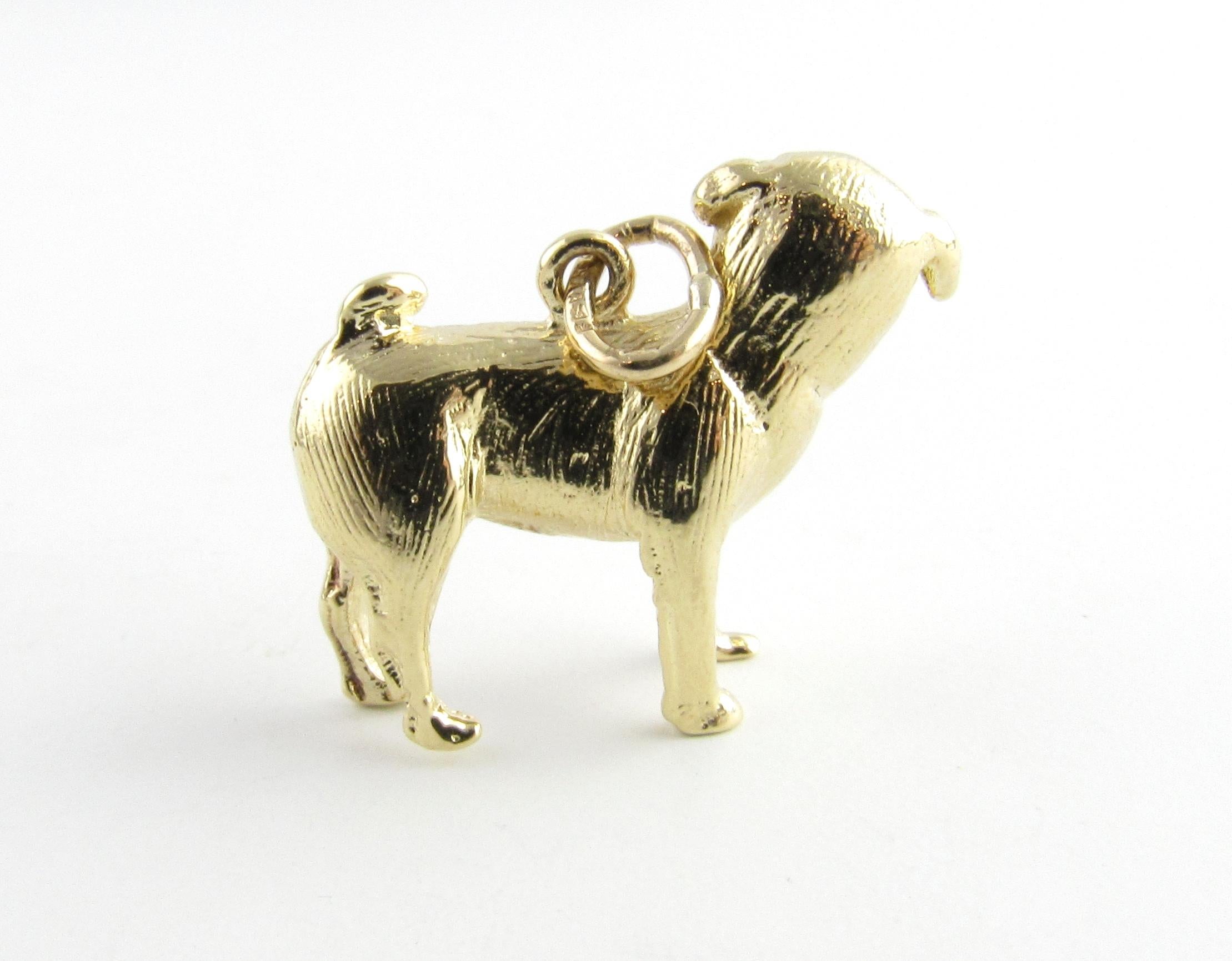 gold pug charm