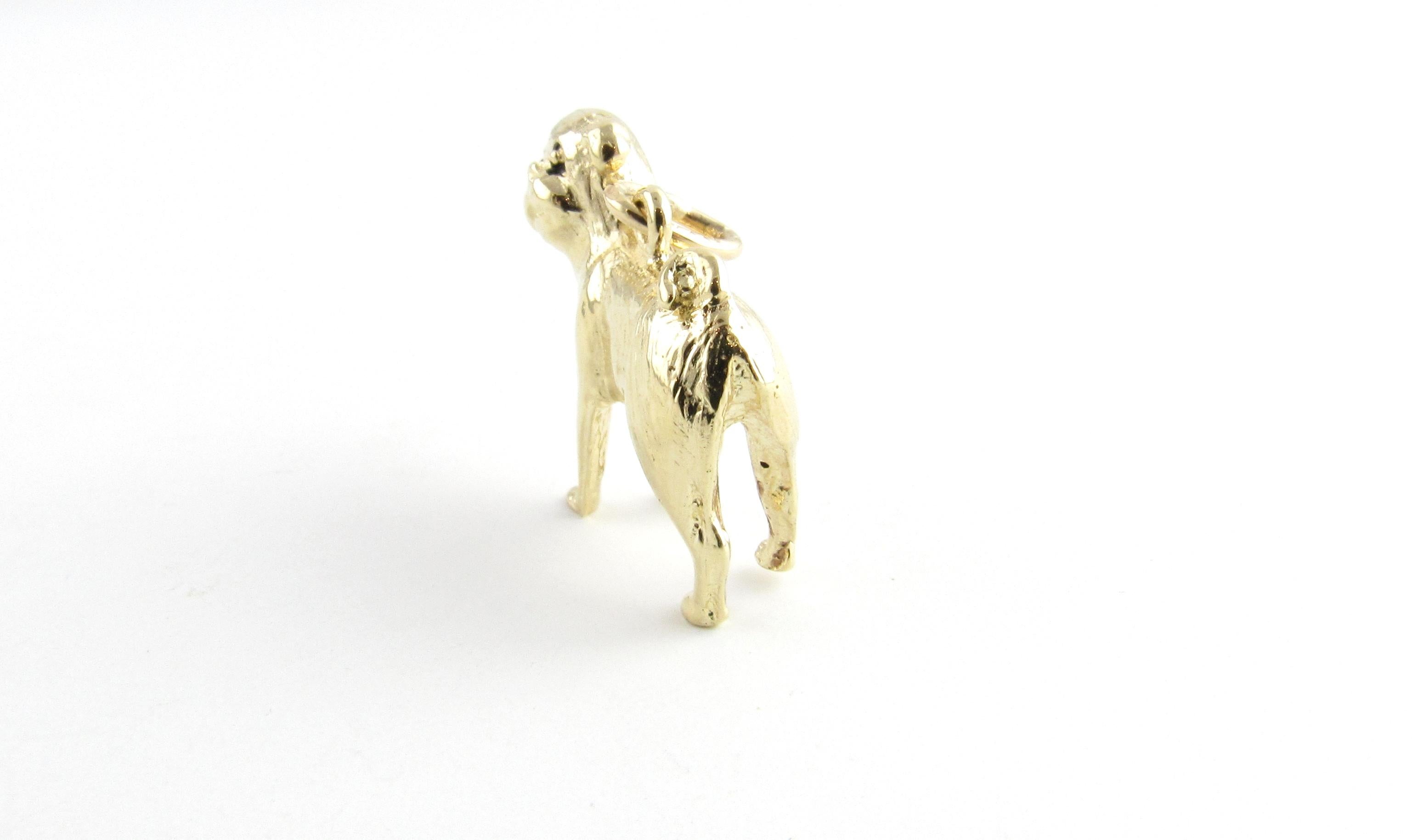 Women's 14 Karat Yellow Gold Pug Dog Charm