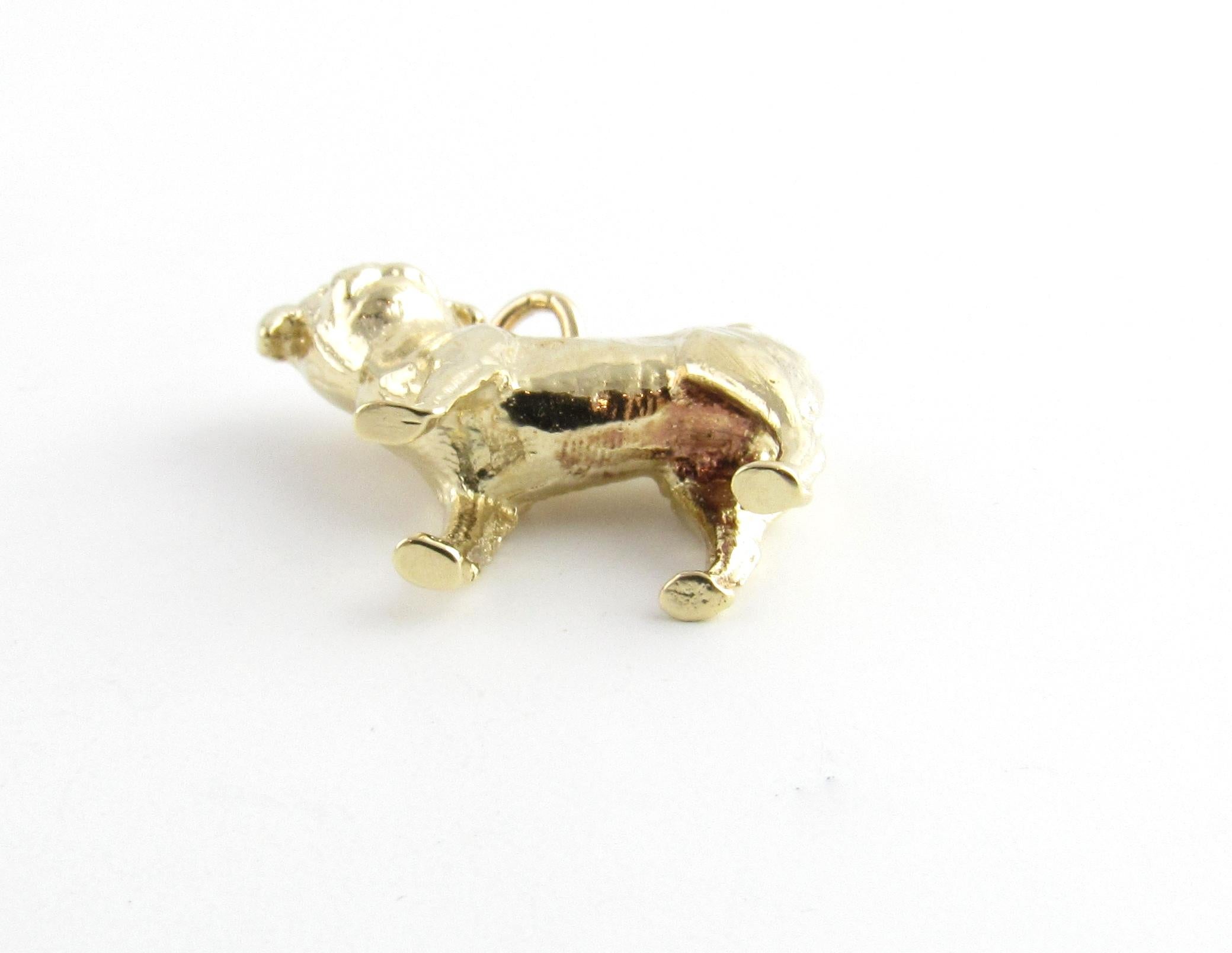 14 Karat Yellow Gold Pug Dog Charm 1