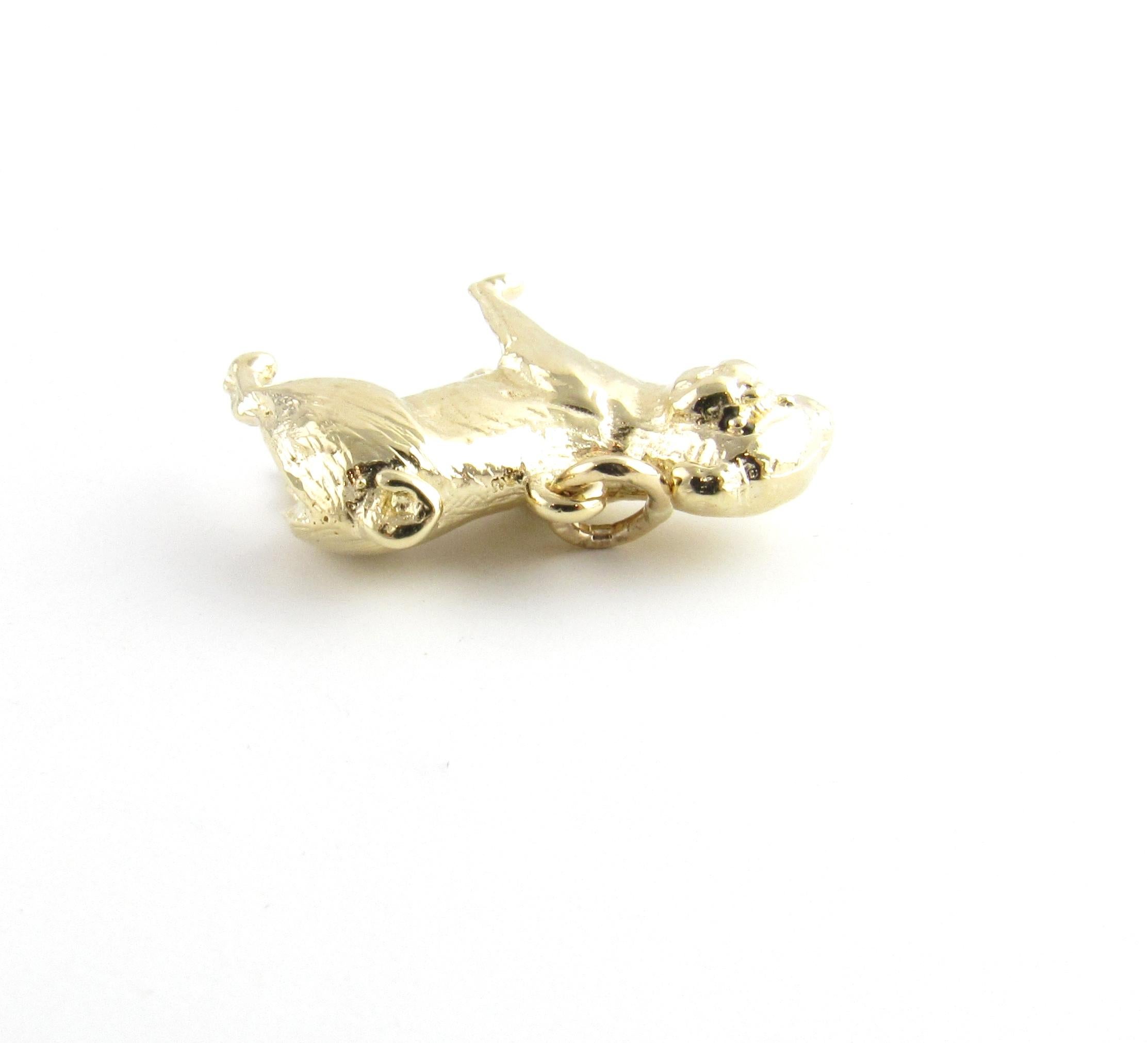 14 Karat Yellow Gold Pug Dog Charm 2