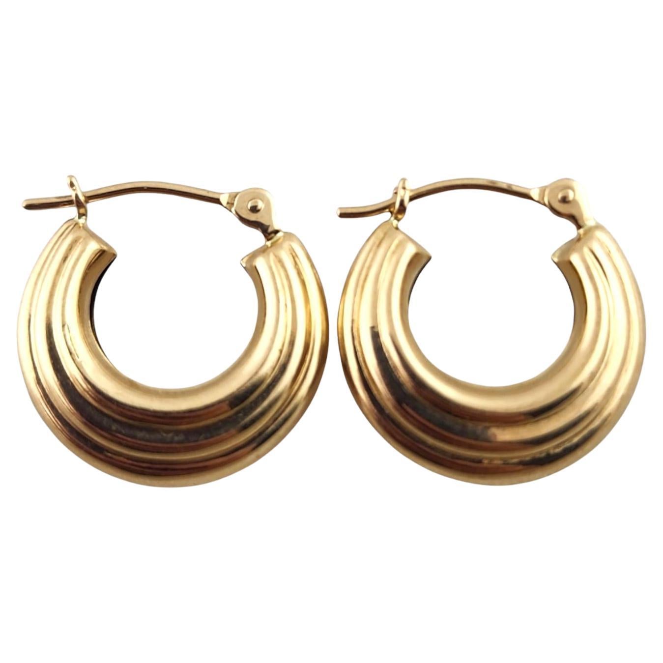 14 Karat Yellow Gold Ribbed Hoop Earrings #19242