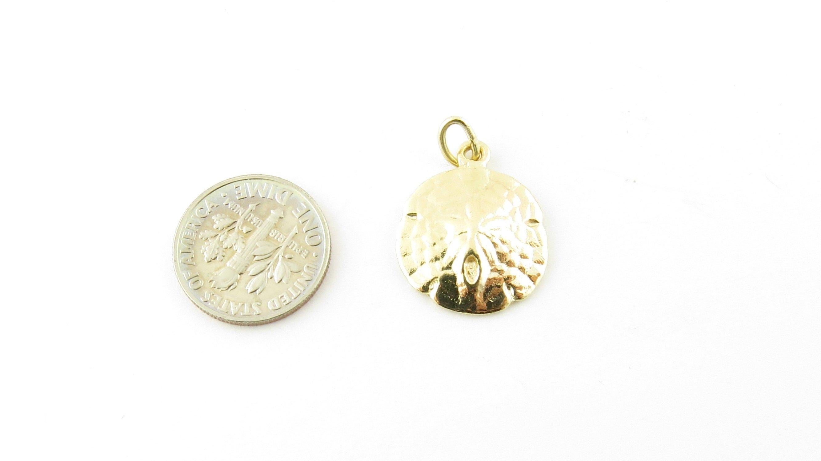 Women's 14 Karat Yellow Gold Sand Dollar Pendant