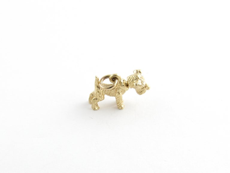 14 Karat Yellow Gold Schnauzer Dog Charm at 1stDibs gold dog charms