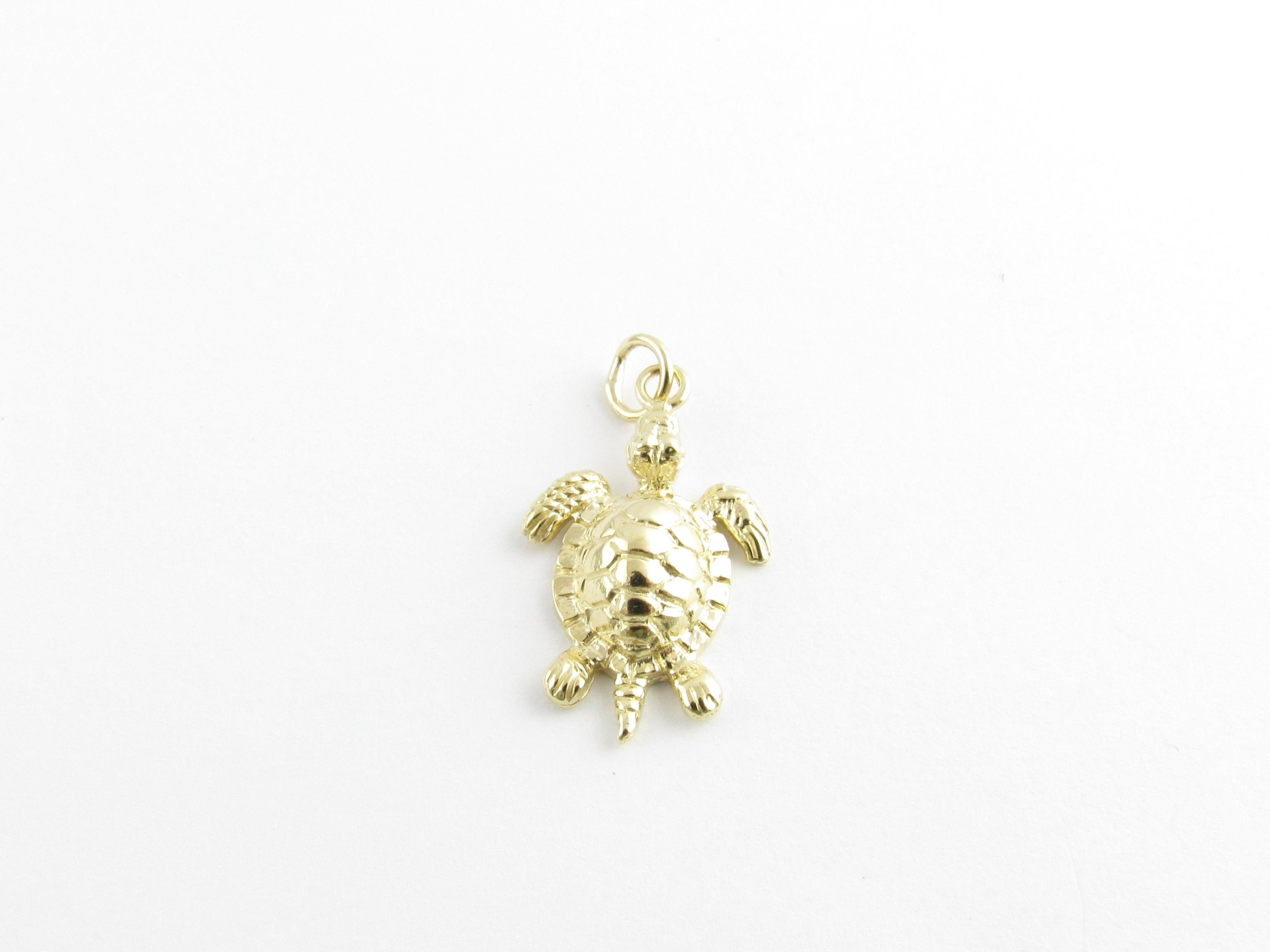 Vintage 14 Karat Yellow Gold Sea Turtle Charm

Sea turtles symbolize patience, wisdom, and good luck!

This lovely charm features a beautifully detailed sea turtle crafted in classic 14K yellow gold.

Size: 24 mm x 15 mm (actual charm)

Weight: 1.7