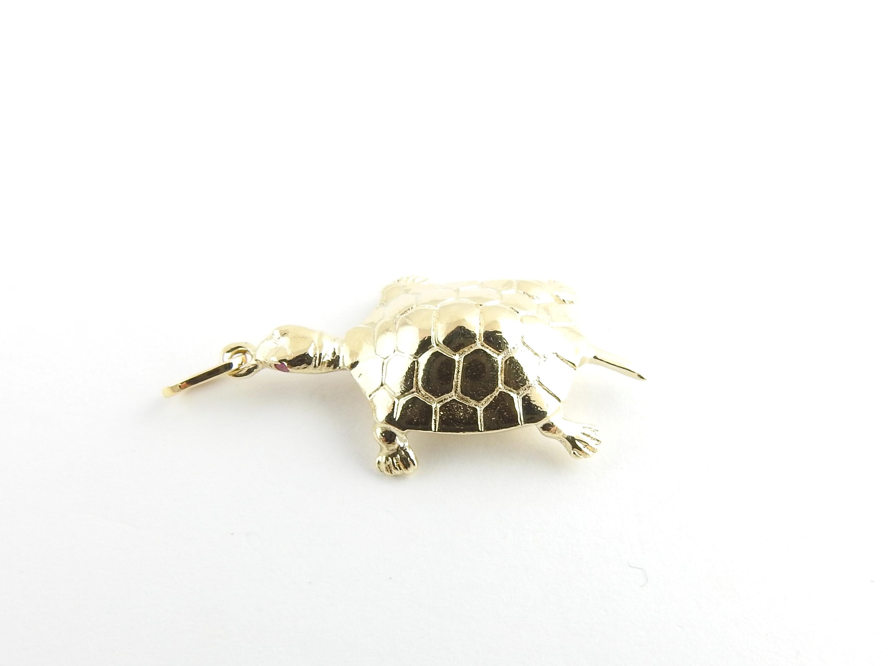 Vintage 14 Karat Yellow Gold Sea Turtle Charm

Sea turtles symbolize patience, wisdom and good luck!

Size: 32 mm x 10 mm (actual charm)

Weight: 3.0 dwt. / 4.7 gr.

Stamped: 14K

Very good condition, professionally polished.

Will come packaged in