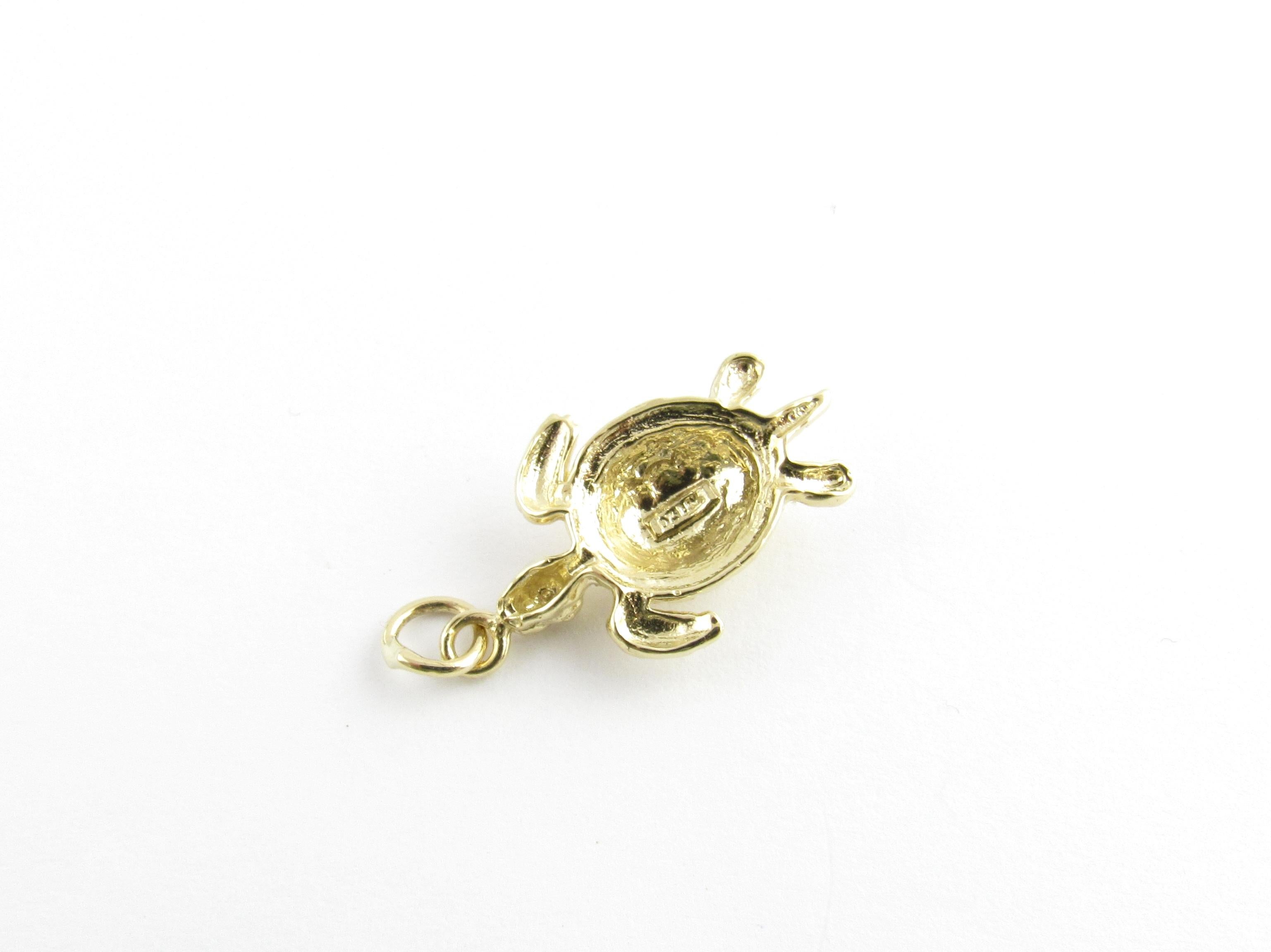 Women's 14 Karat Yellow Gold Sea Turtle Charm