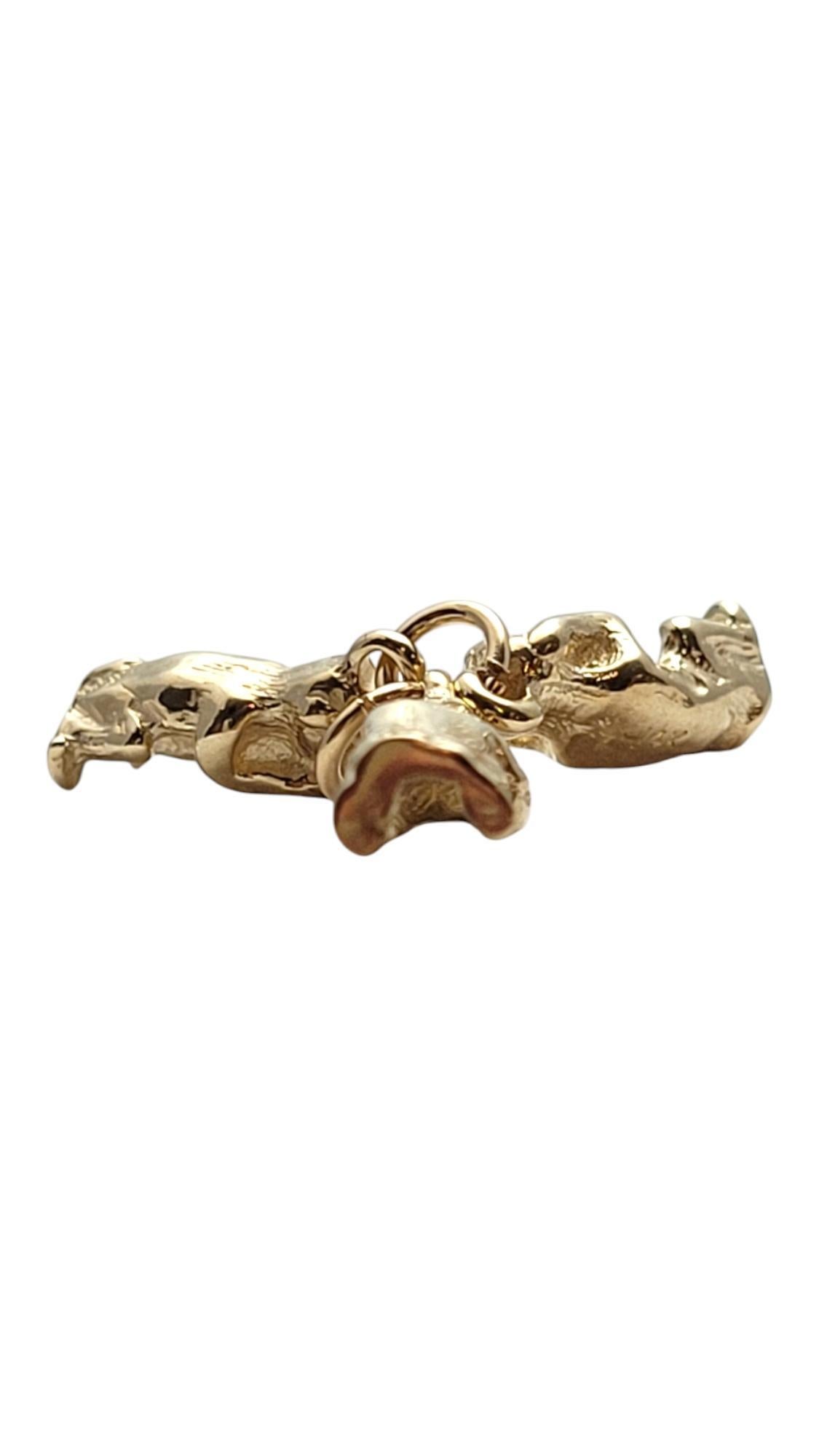 Women's 14 Karat Yellow Gold 