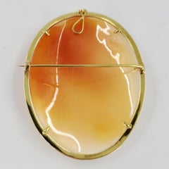 14 Karat Yellow Gold Shell Oval Cameo Pin and Pendant