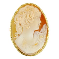 Antique 14 Karat Yellow Gold Shell Oval Cameo Pin and Pendant