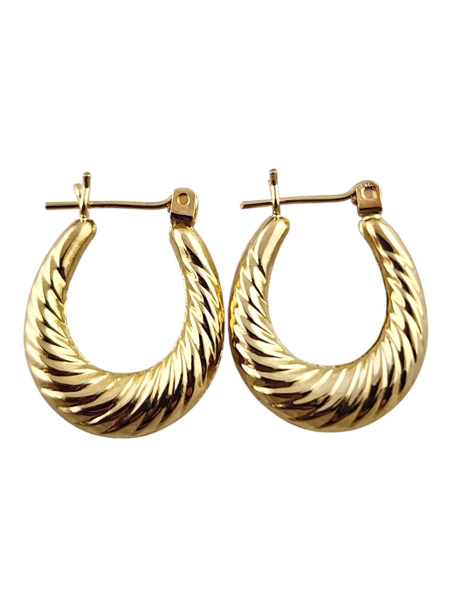 Women's 14 Karat Yellow Gold Shrimp Style Oval Hoop Earrings #19768
