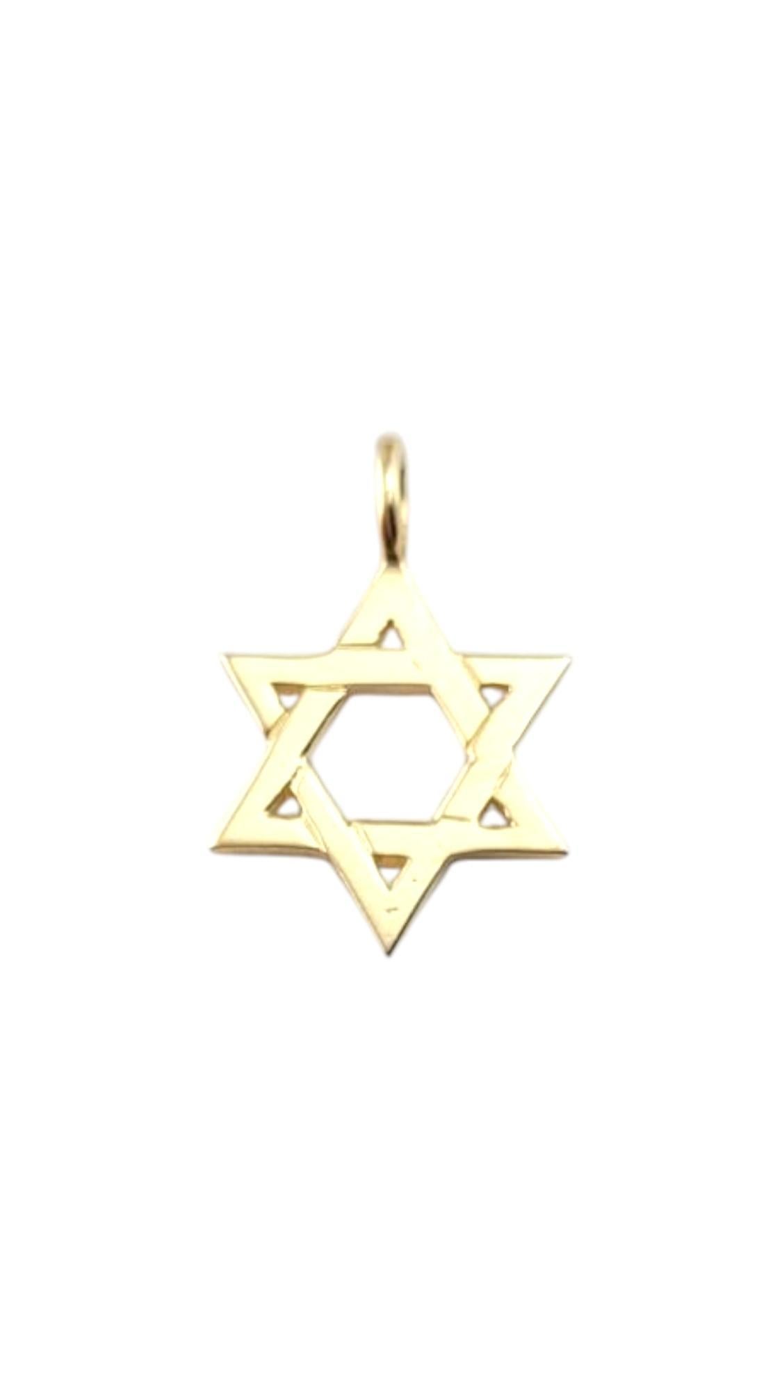 14 Karat Yellow Gold Star Of David Pendant #21259