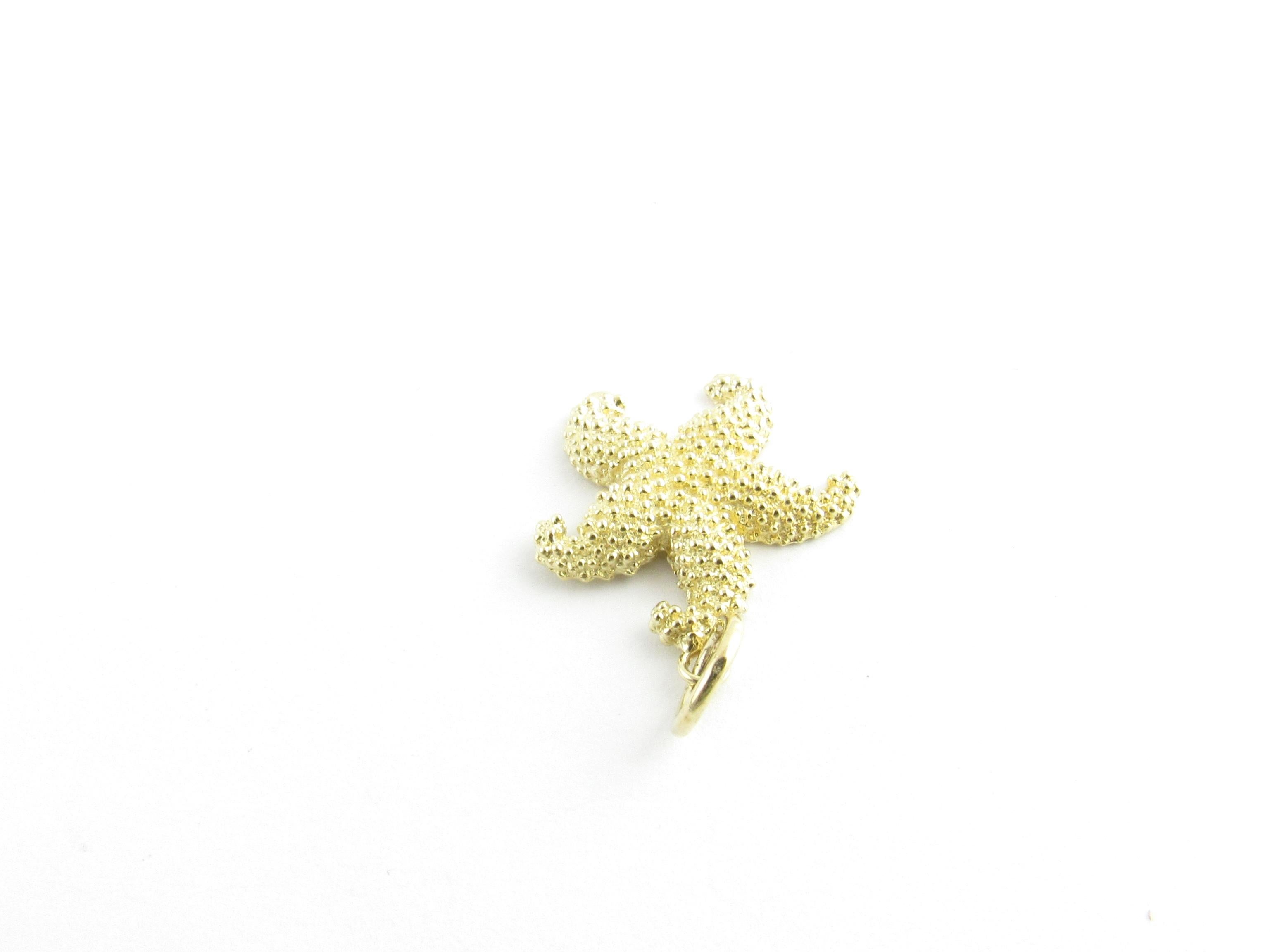 Vintage 14 Karat Yellow Gold Starfish Charm

The star of the sea!

This lovely charm features a beautifully detailed starfish crafted in classic 14K yellow gold.

Size: 21 mm x 18 mm (actual charm)

Weight: 1.2 dwt. / 2.0 gr.

Stamped: 14K

Very
