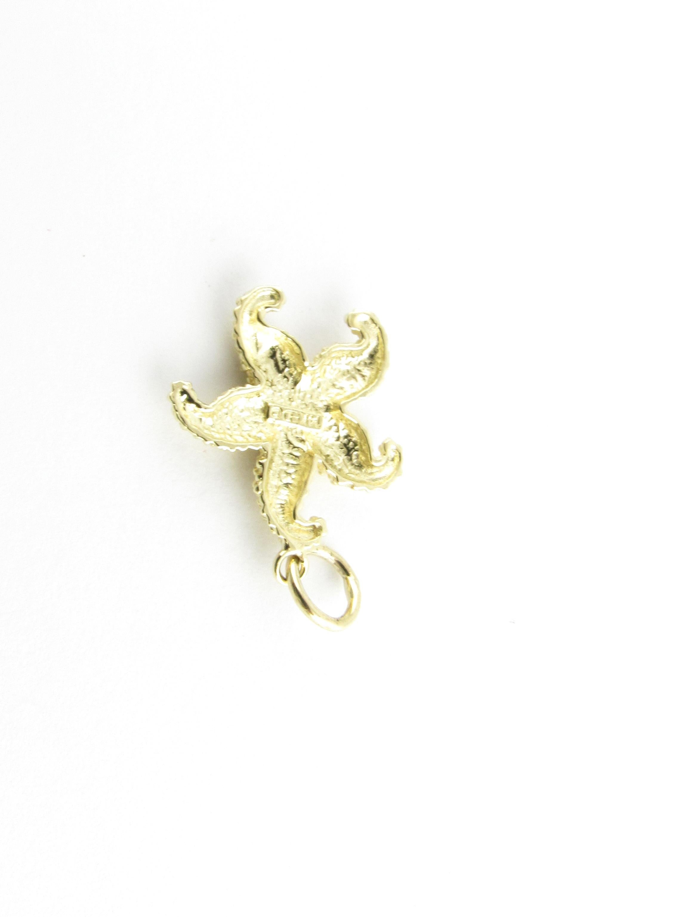 Women's 14 Karat Yellow Gold Starfish Charm