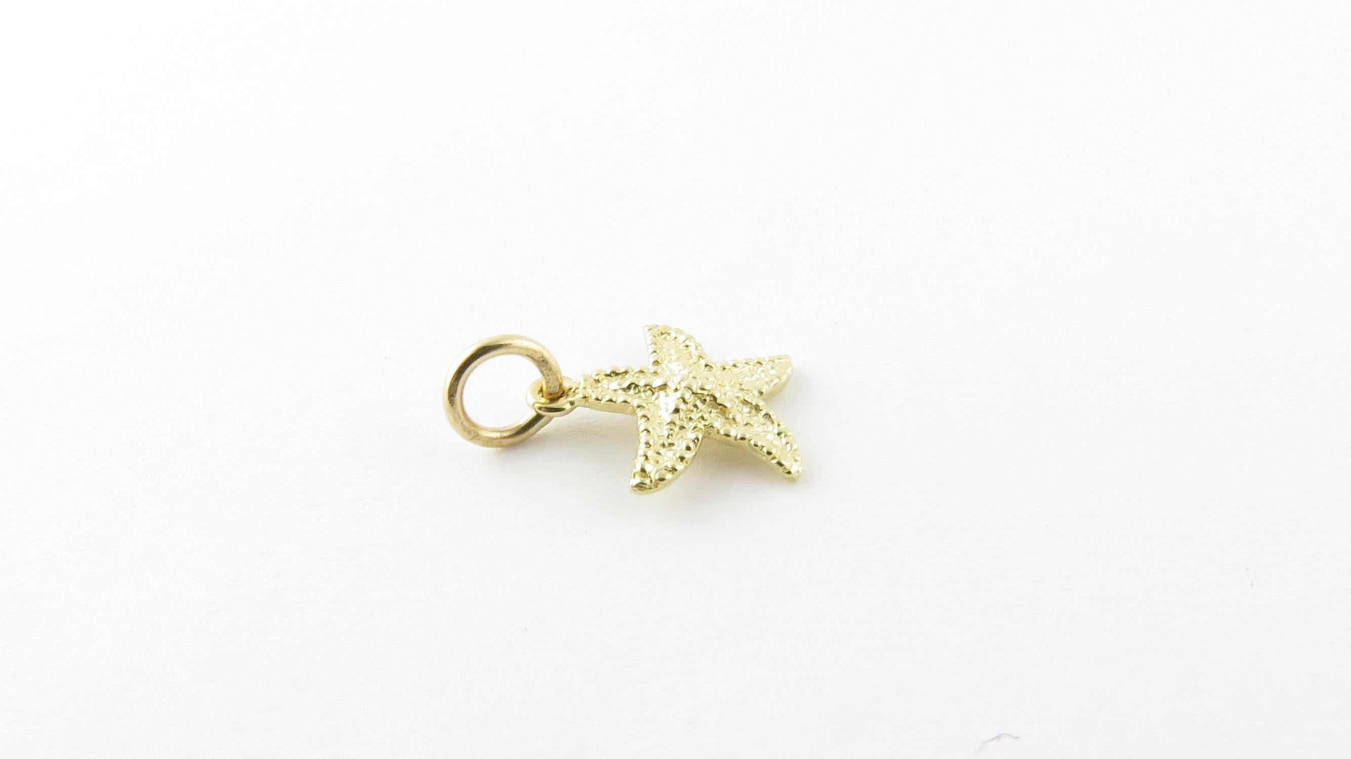 Women's 14 Karat Yellow Gold Starfish Charm