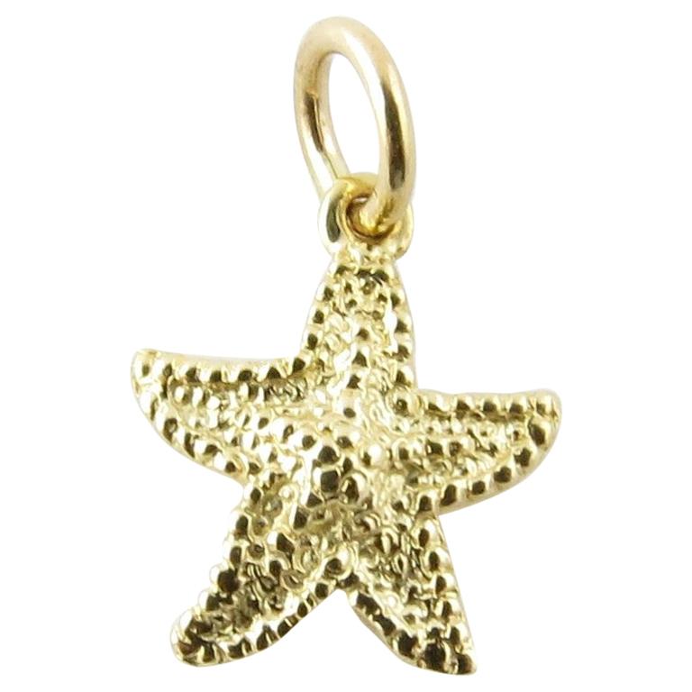 14 Karat Yellow Gold Starfish Charm