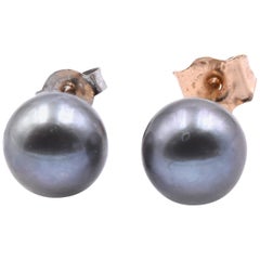 14 Karat Yellow Gold Tahitian Pearl Stud Earrings