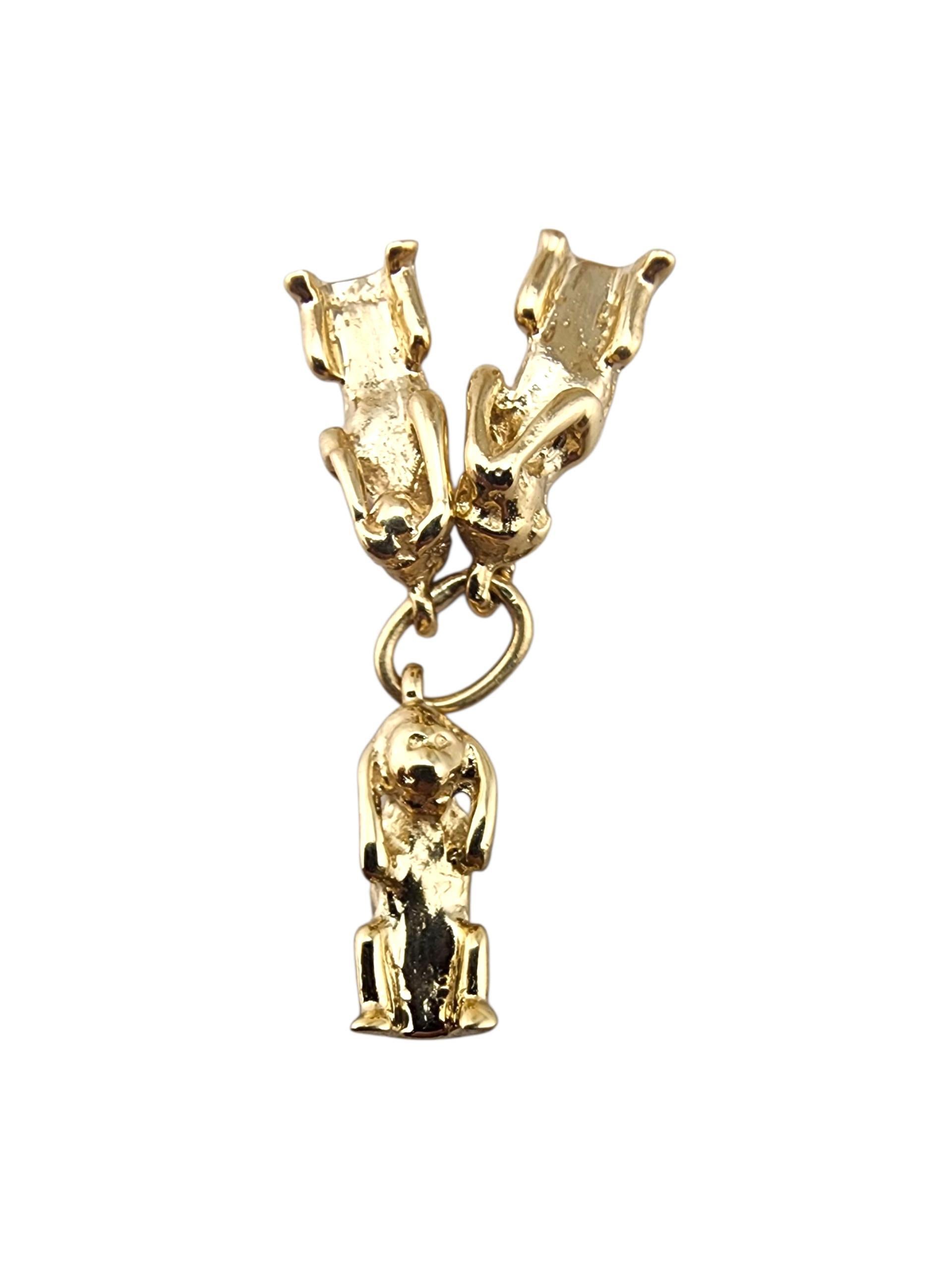 Tre scimmie sagge in oro giallo 14 carati

Questo charm in oro giallo 14 carati con le Tre Scimmie Sagge riprende il classico motivo 