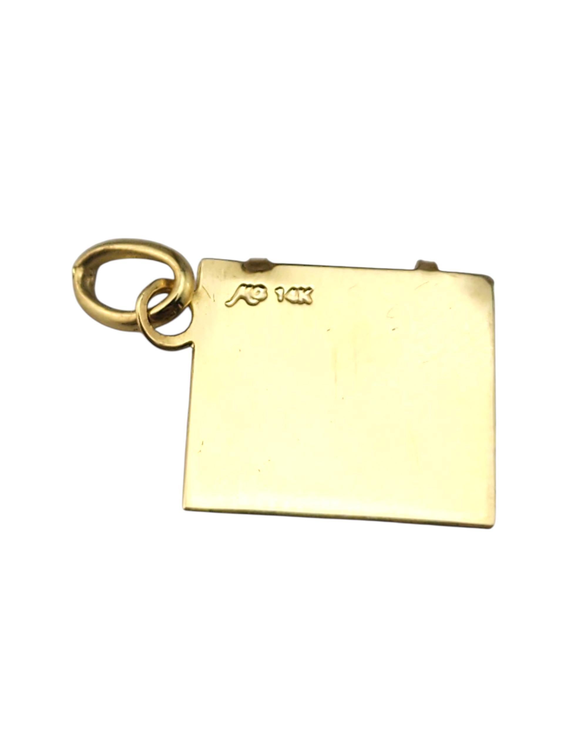 Libro Charm in oro giallo 14 carati 