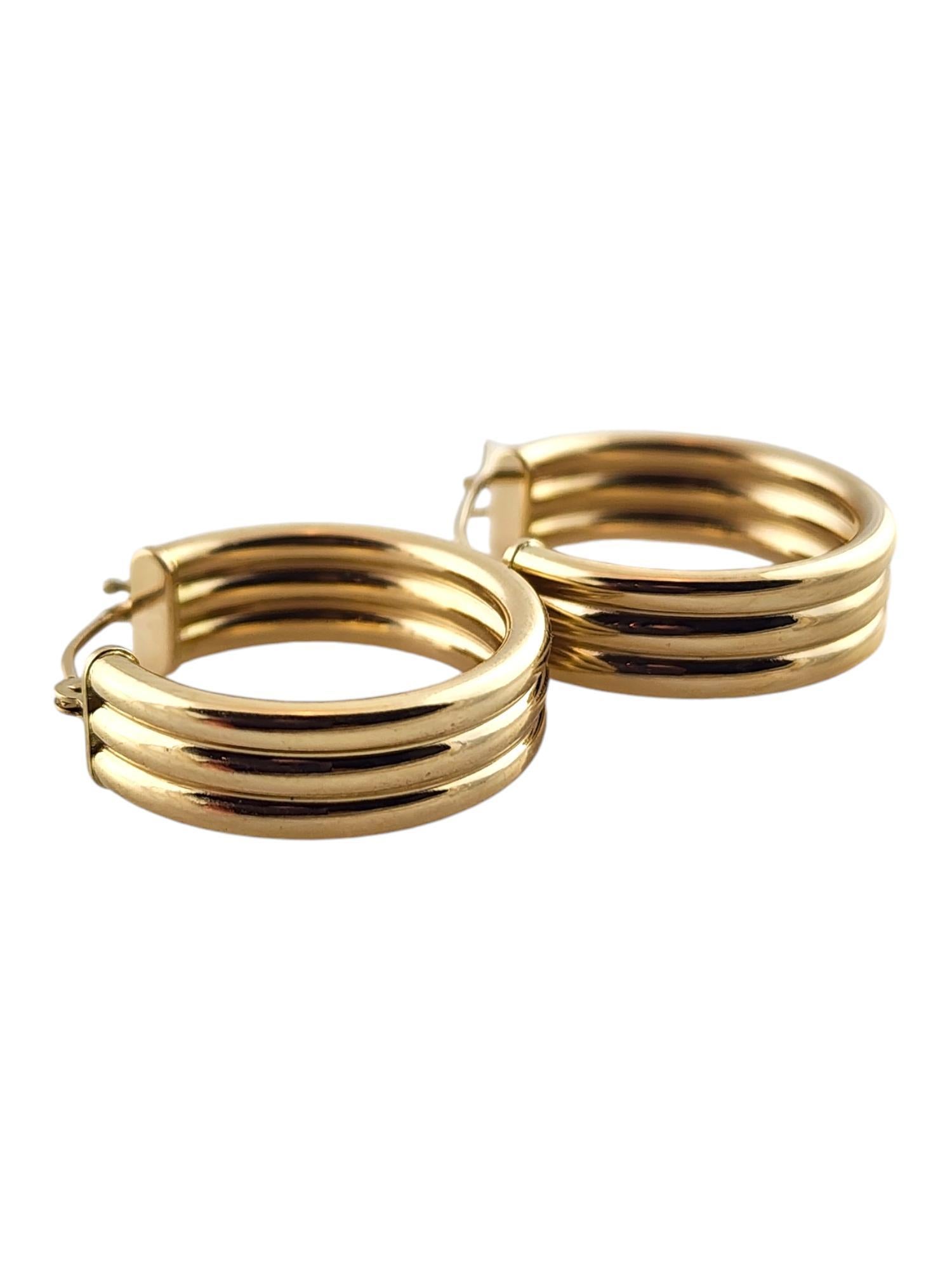 Women's 14 Karat Yellow Gold Triple Hoop Earrings #19140