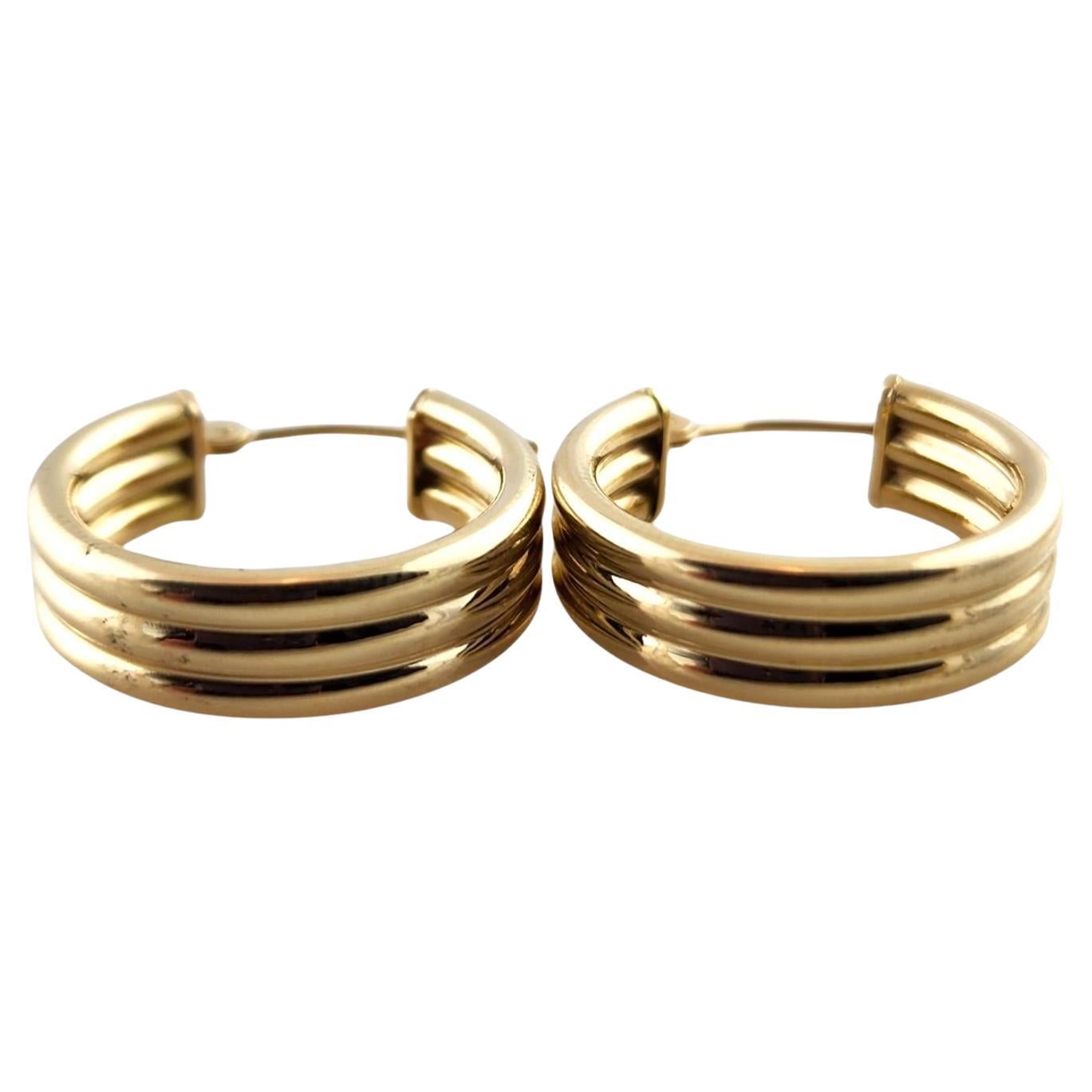 18K Gianna Triple Hoop Earrings main image 1