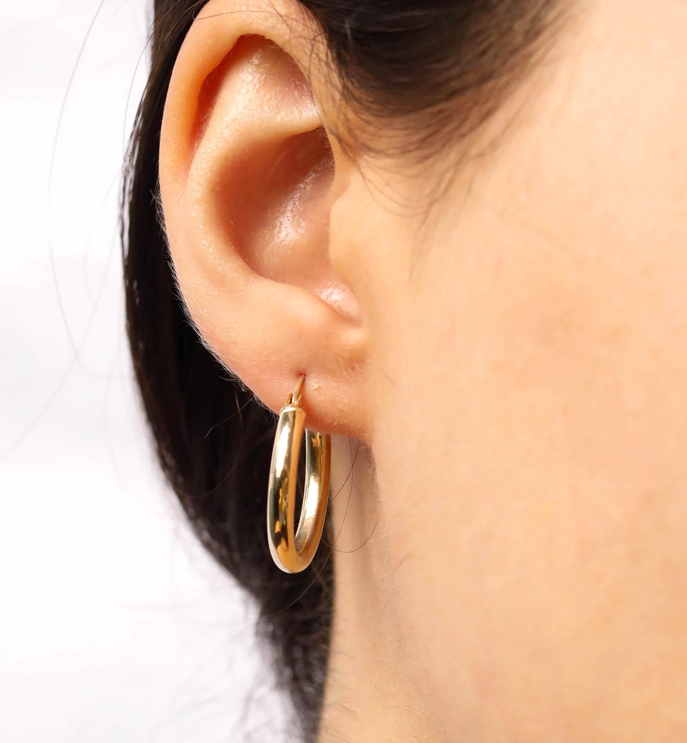  14 Karat Yellow Gold Tube Hoop Earrings

These delicate hoop earrings are crafted in solid 14 karat yellow gold. Modeled after traditional jewelry, these hoop earrings are with tube Design take on the classic gold hoop.

Metal Color: Yellow
Metal