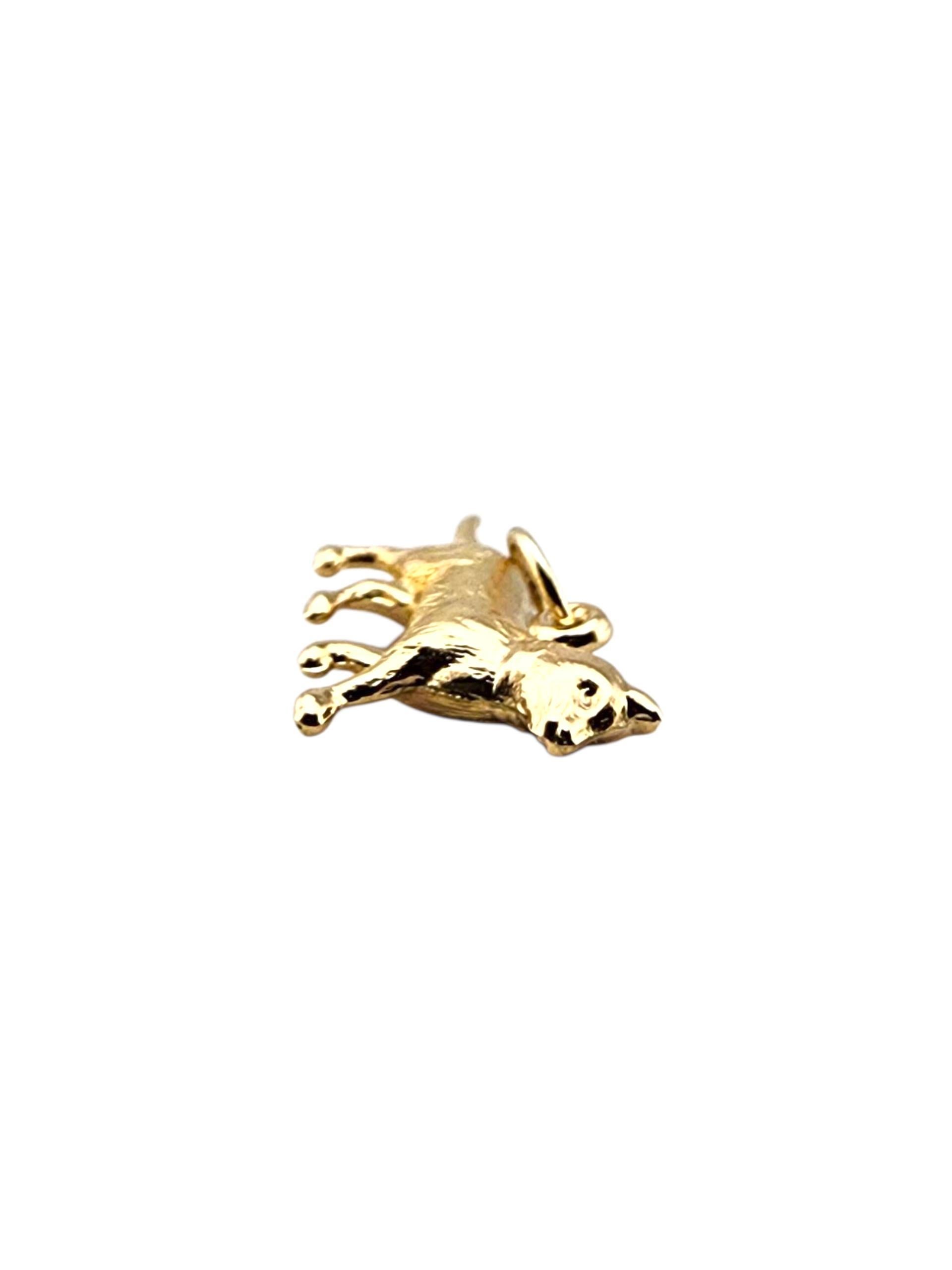 Charm a forma di gatto in oro giallo 14 carati.

Questo charm per gatto in oro giallo 14 carati brilla con dettagli aggraziati, un pezzo giocoso ma elegante che cattura il fascino e la curiosità di un amico felino.

Marchio di garanzia: 14K

Peso: