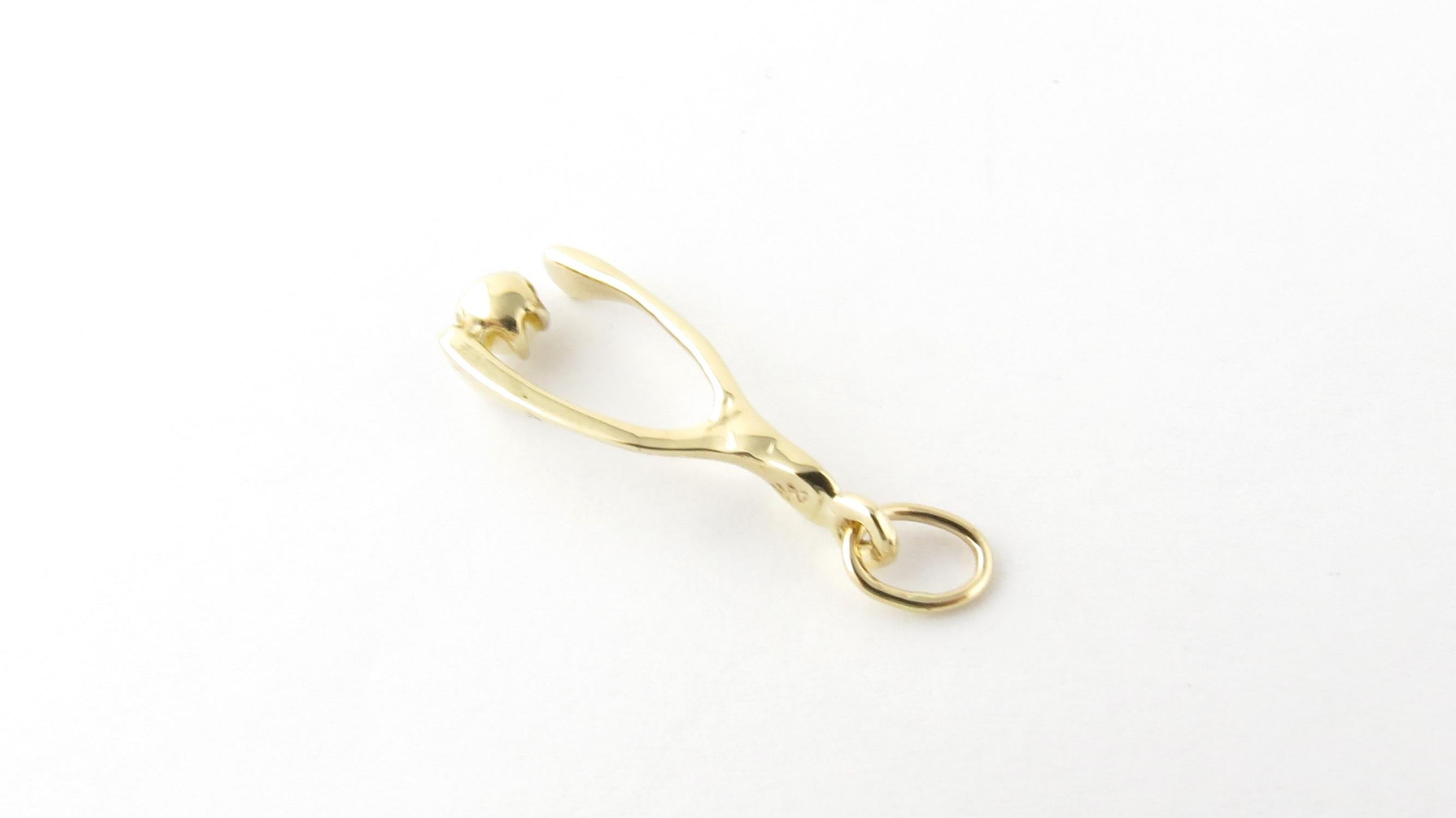 Women's 14 Karat Yellow Gold Wishbone Charm