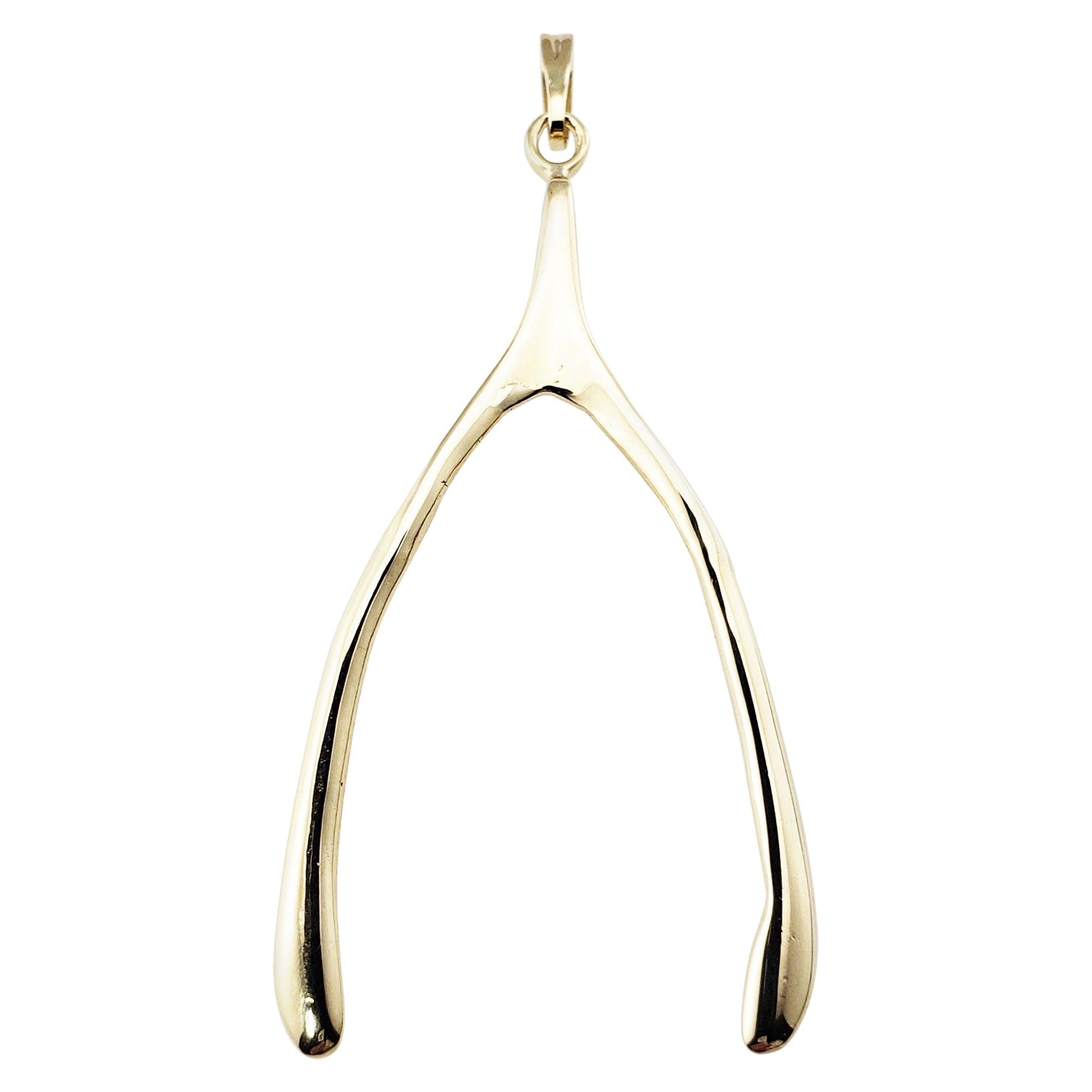 14 Karat Yellow Gold Wishbone Pendant
