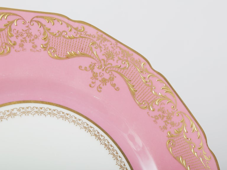 14 Pink Dinner Plates with Elaborate Raised Gilding, Antique English at