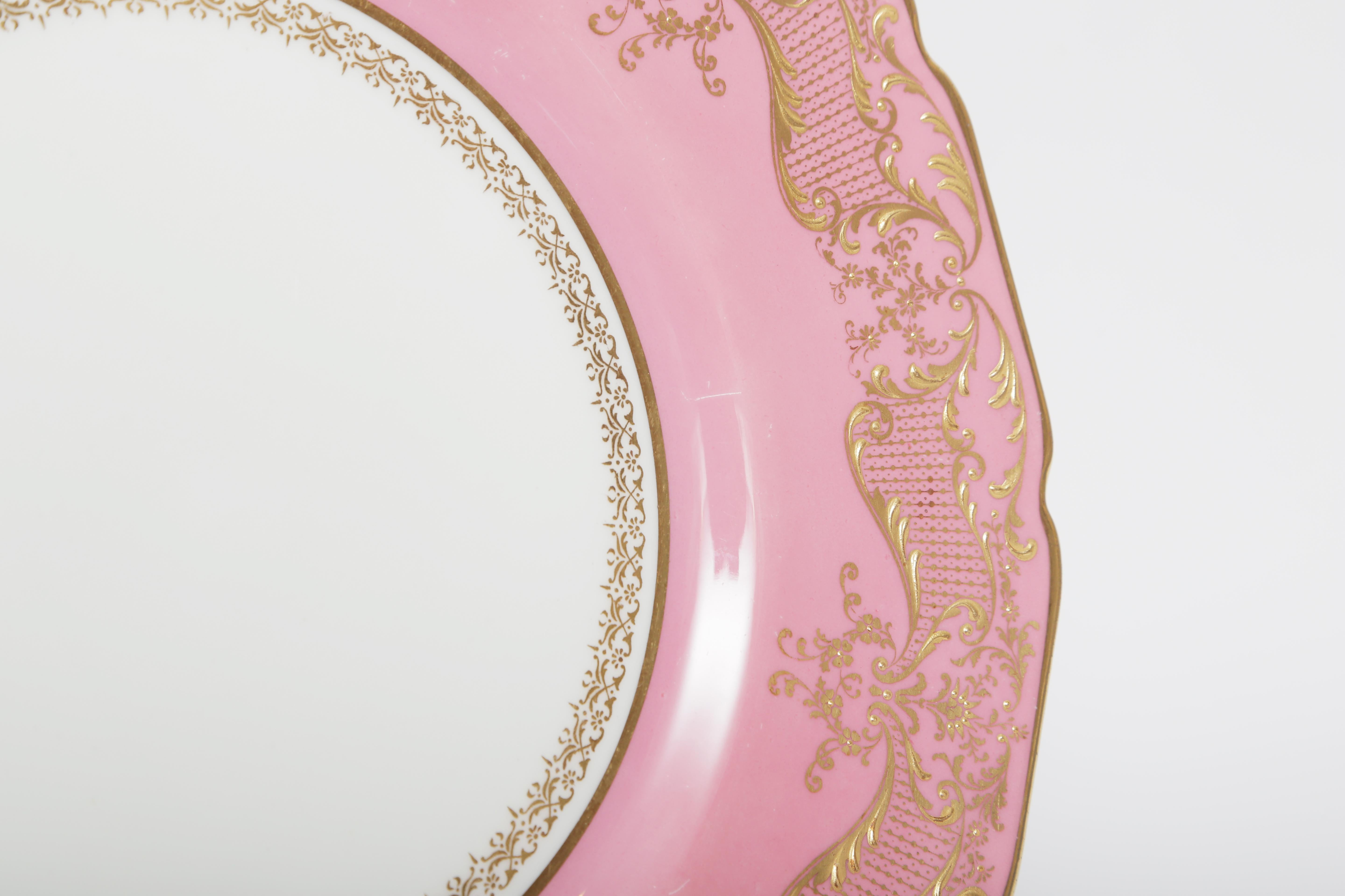 European 14 Pink Dinner Plates with Elaborate Raised Gilding, Antique English