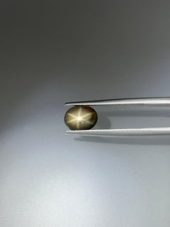 1,40 Karat Schwarzer Sternsaphir