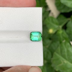 1.40 Karat Natürlicher loser mintgrüner Turmalin im Kissenschliff Afghanischer Edelstein