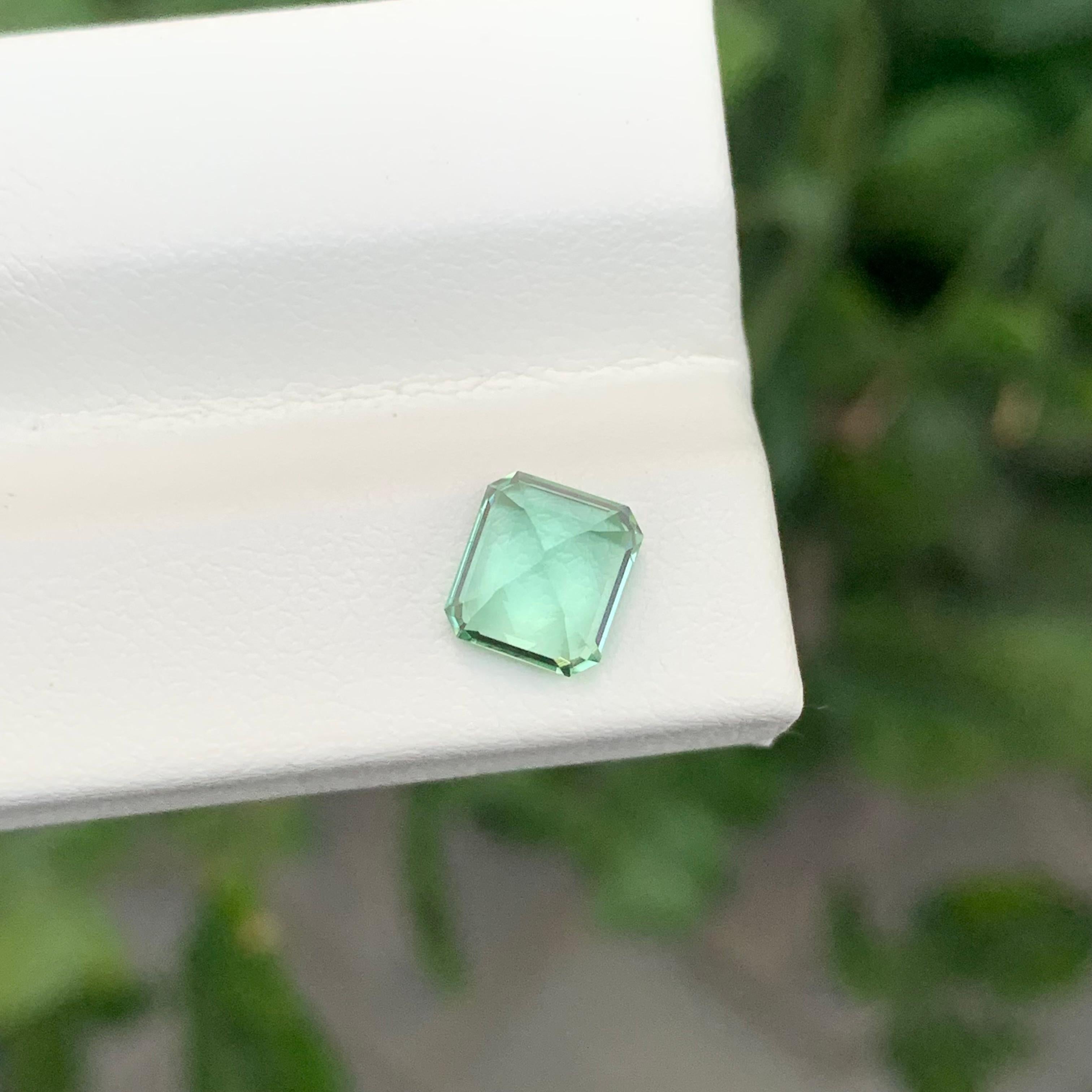 1.40 Carat Natural Loose Mint Green Tourmaline Cushion Shape Gem en vente 1