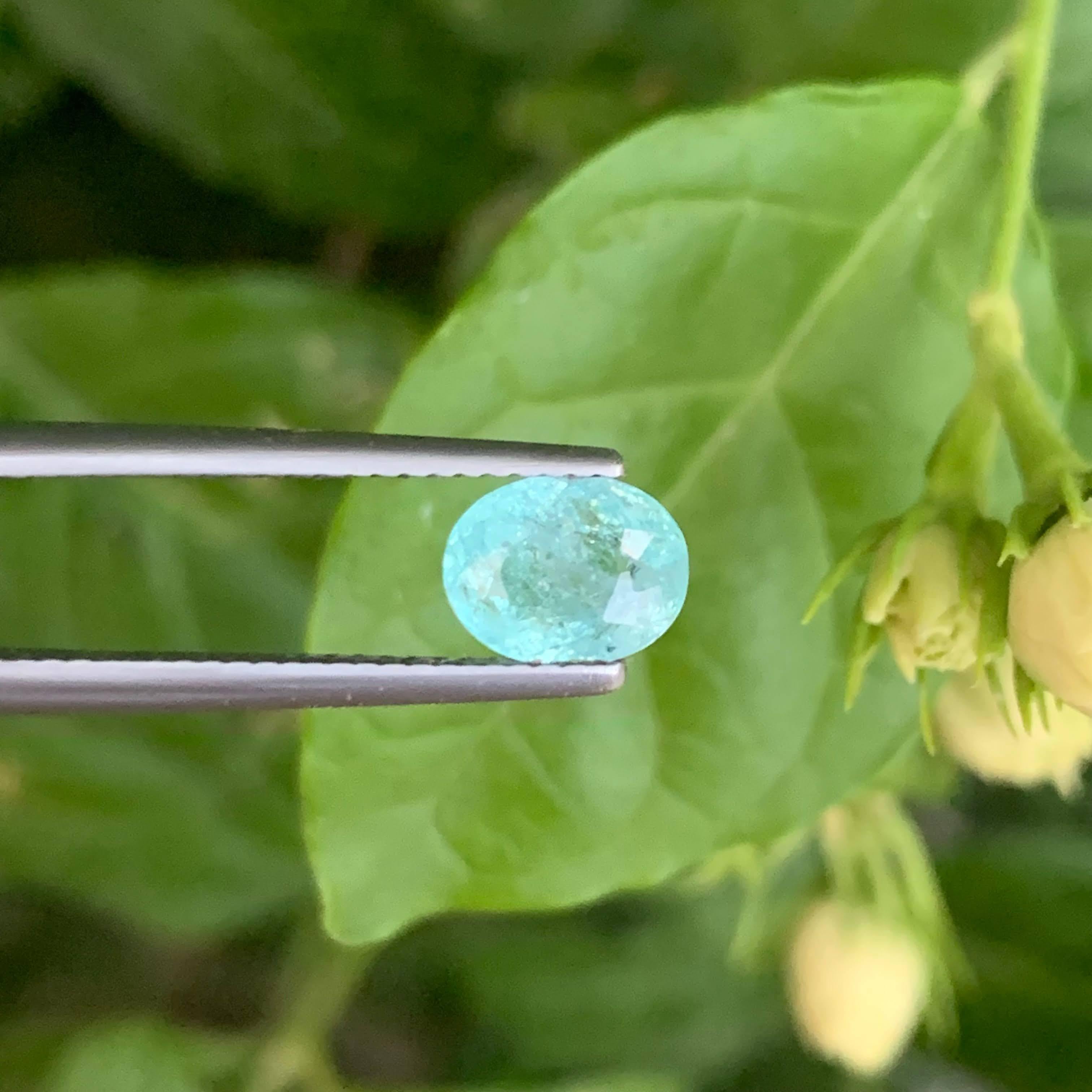 Taille ovale 1.40 Carat Naturelle Paraiba Tourmaline Stone Oval Cut From Mozambique en vente