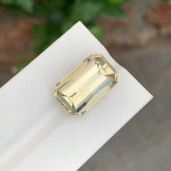 14.05 Karat natürlicher loser gelber Citrin im Pixelschliff Edelstein