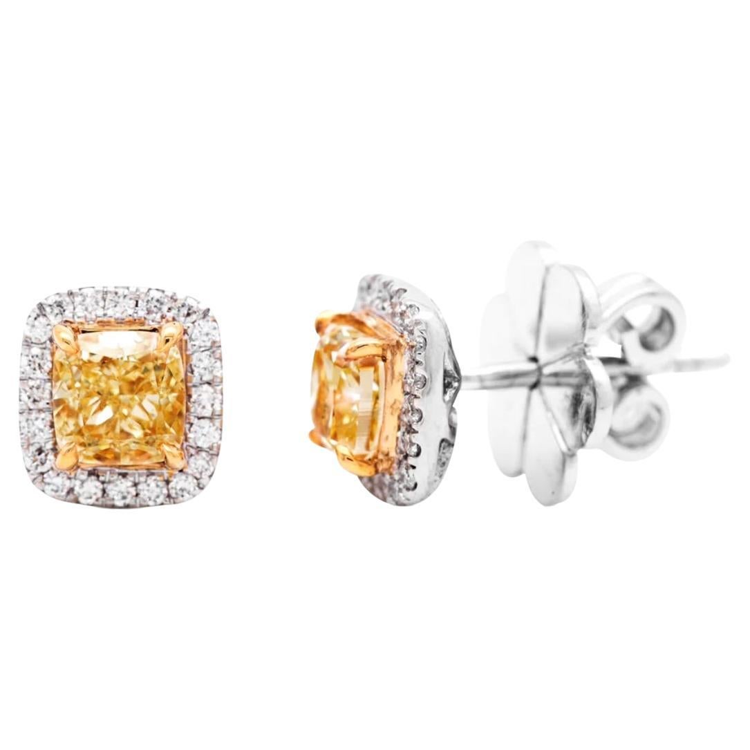 Boucles d'oreilles Halo à coussin de 1,40ct de diamant jaune en vente