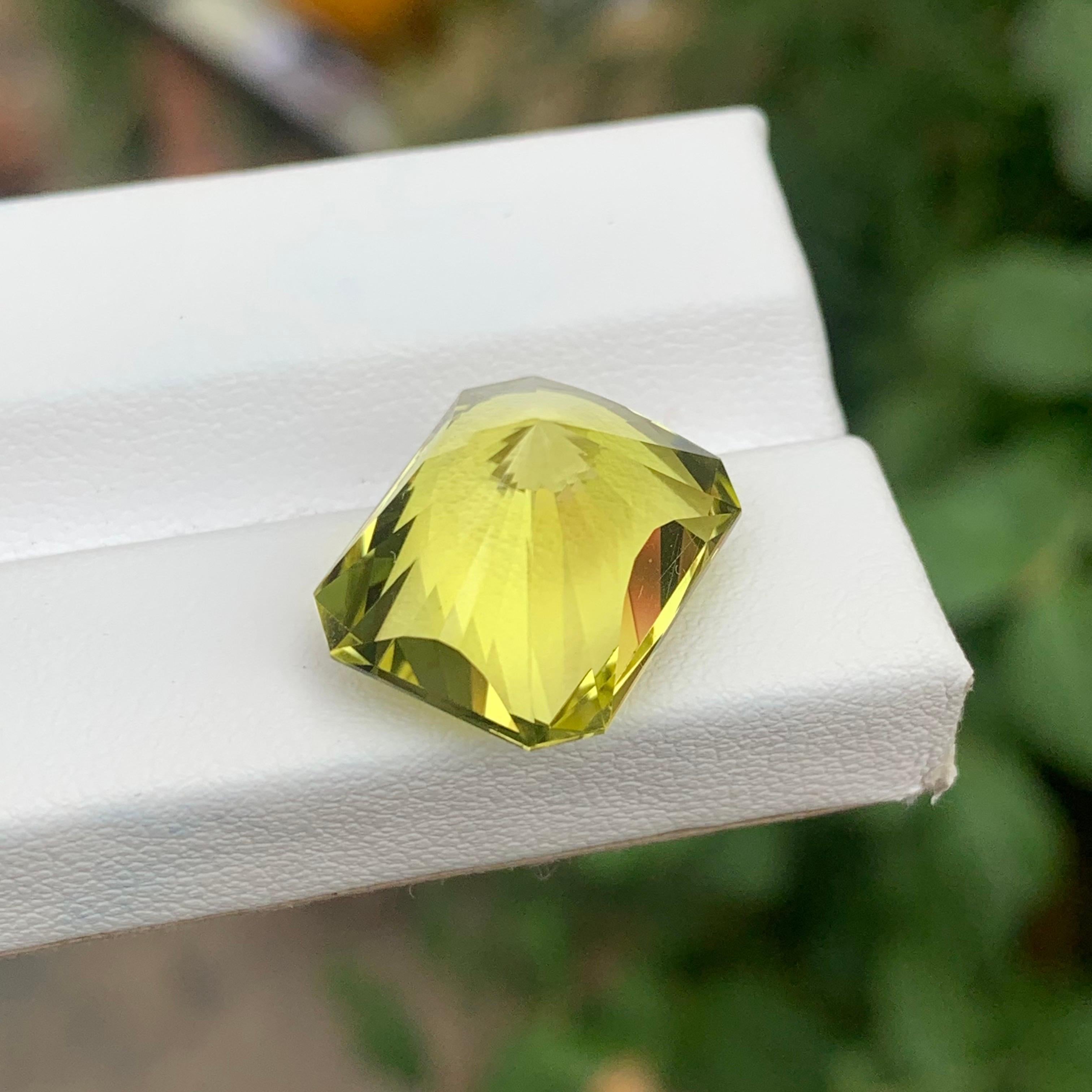 14.15 Carat Natural Loose Green Gold Lemon Quartz Octagon Shape Gemstone (pierre précieuse en forme d'octogone) en vente 1