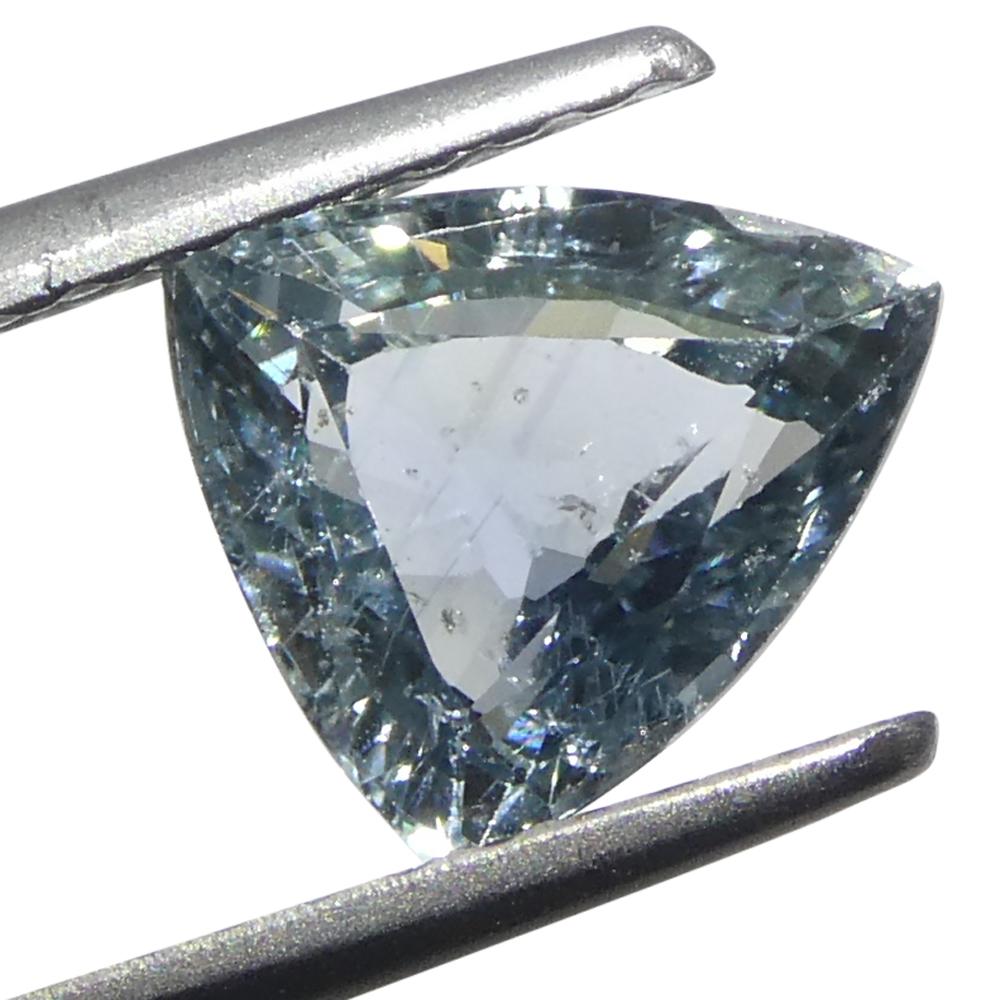 1.41ct Trillion Blue Teal Sapphire from Tanzania, Unheated en vente 6